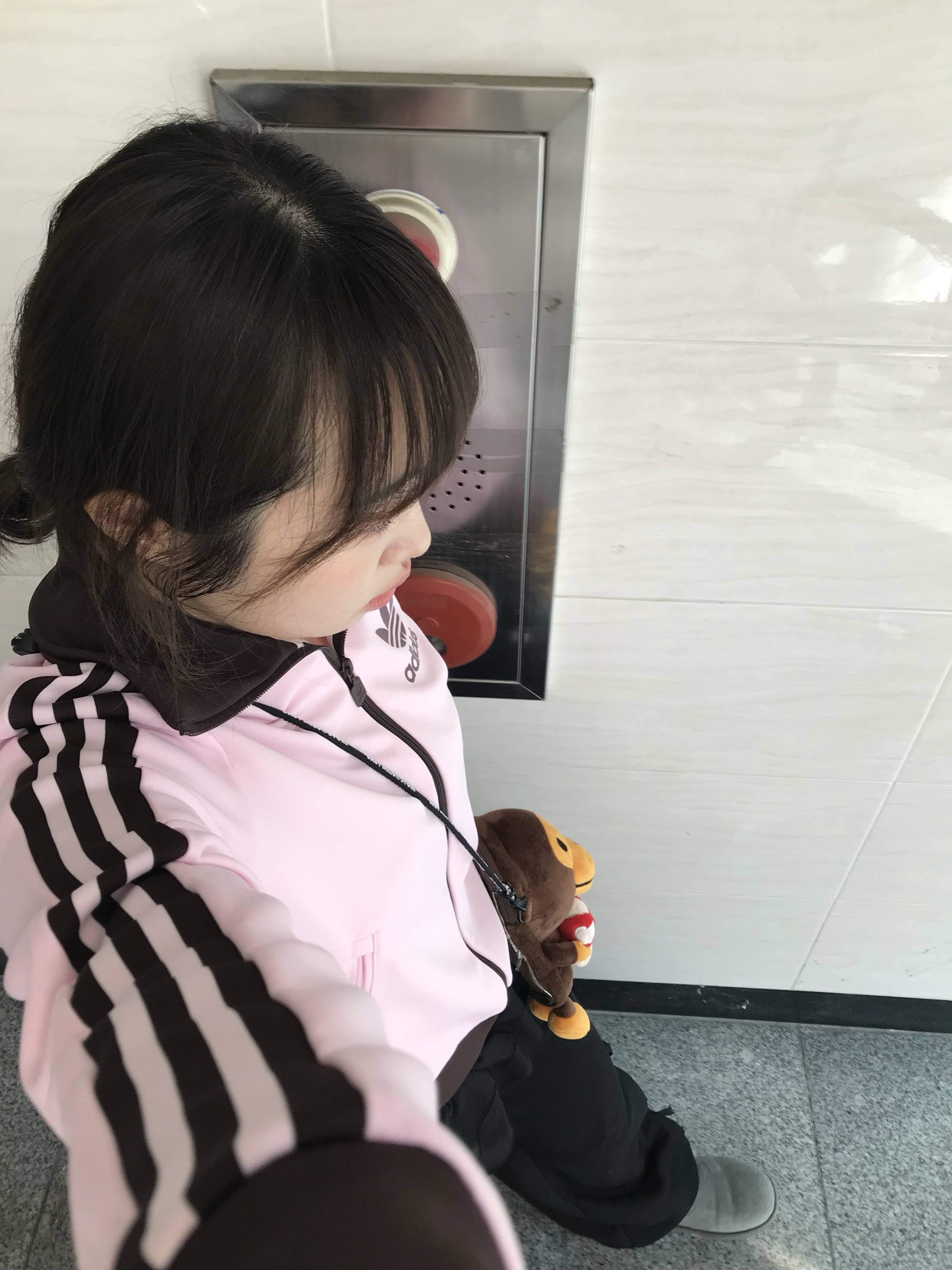 BAPE Baby Milo Plush Mobile Bag Brown, (W) Adidas Originals Beckenbauer Track Jacket Clear Pink - KR Sizing 착용 스타일