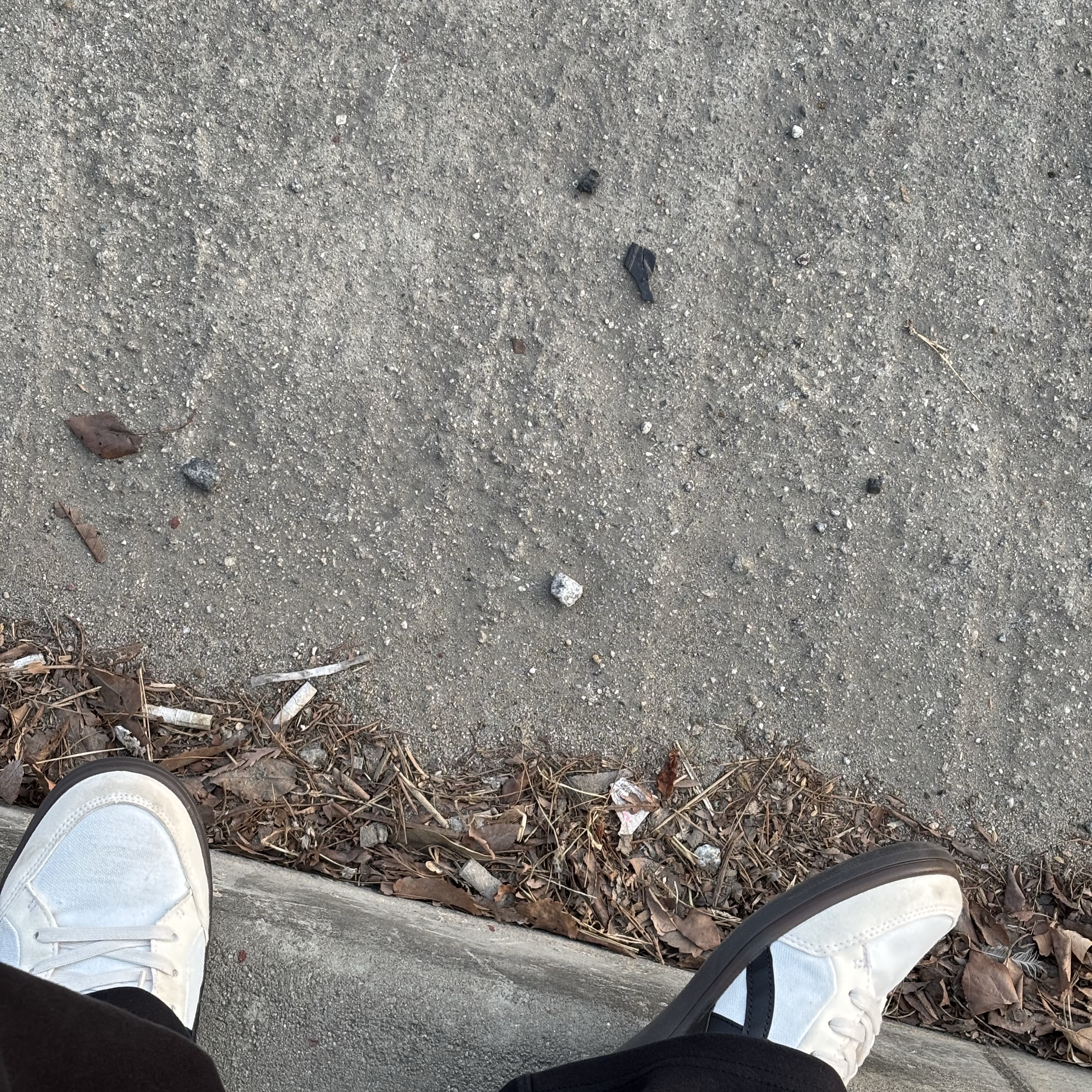 Onitsuka Tiger Advanti Cream White Black 착용 스타일 - 1