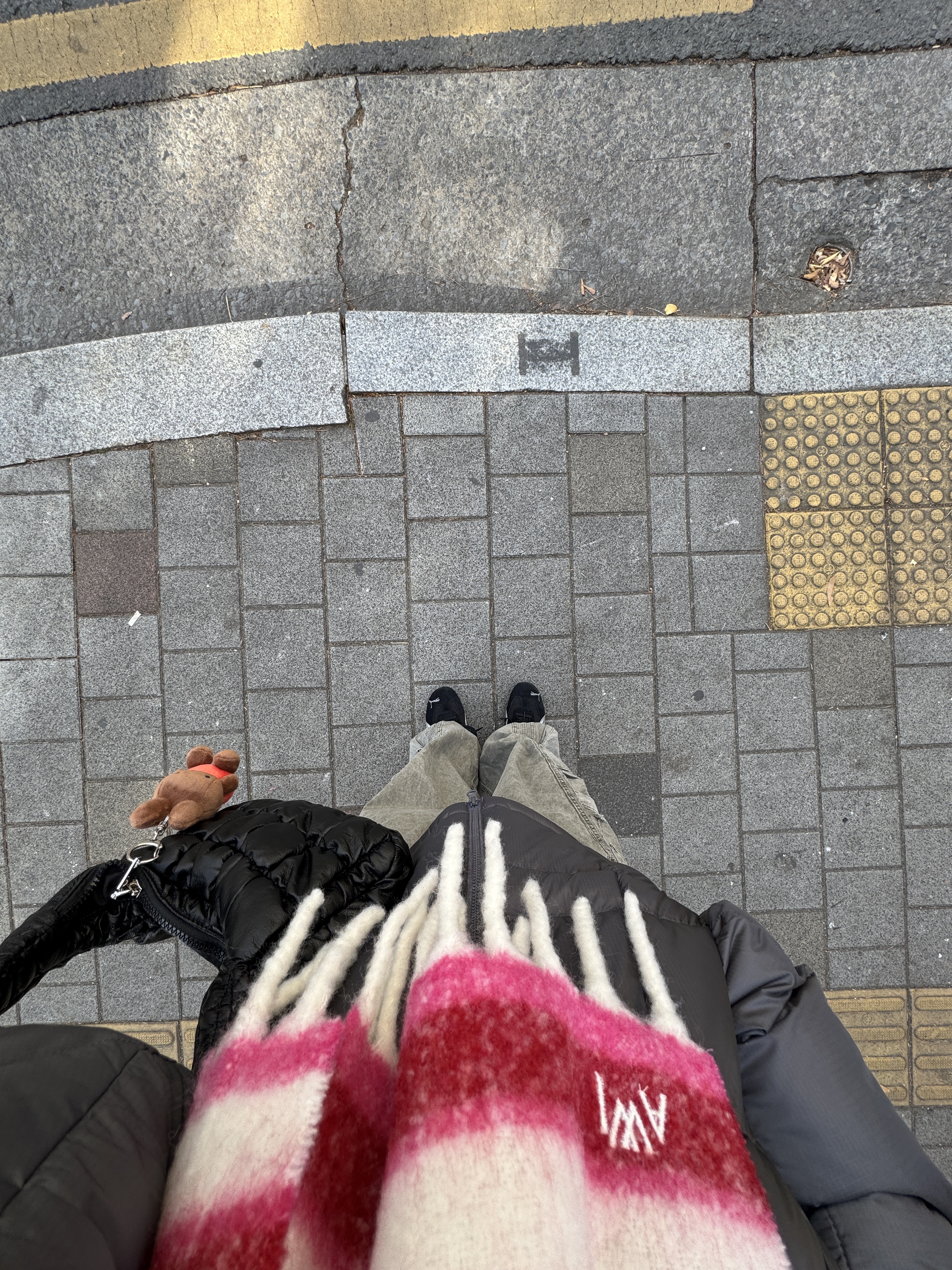The North Face White Label Wave LT On Ball Jacket Gray, Uniqlo x JW Anderson Striped Chunky Scarf Pink 착용 스타일