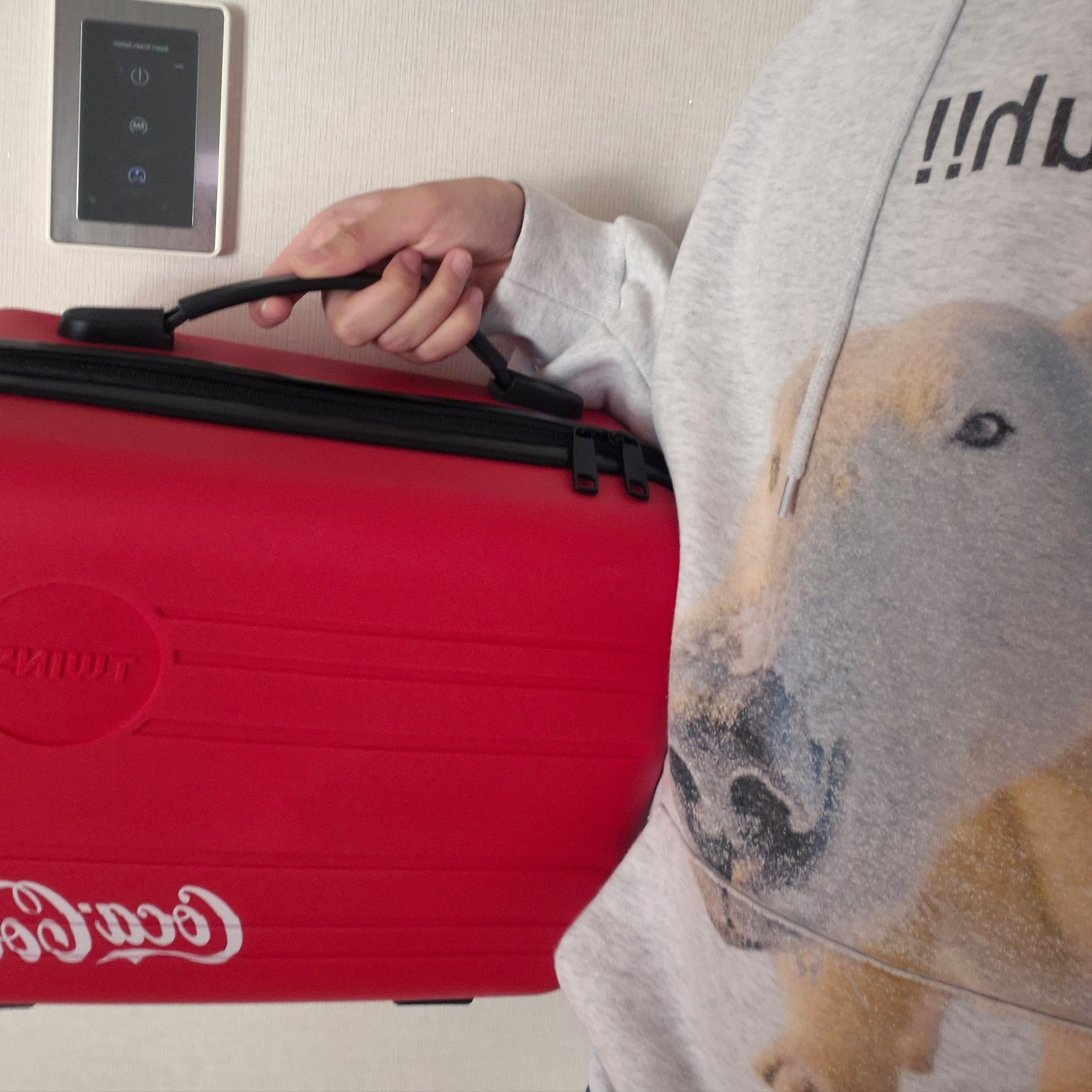 TWINS Coca-Cola Collection Mini Carry-On Bag, Suade Huh Hoodie Melange Gray 착용 스타일