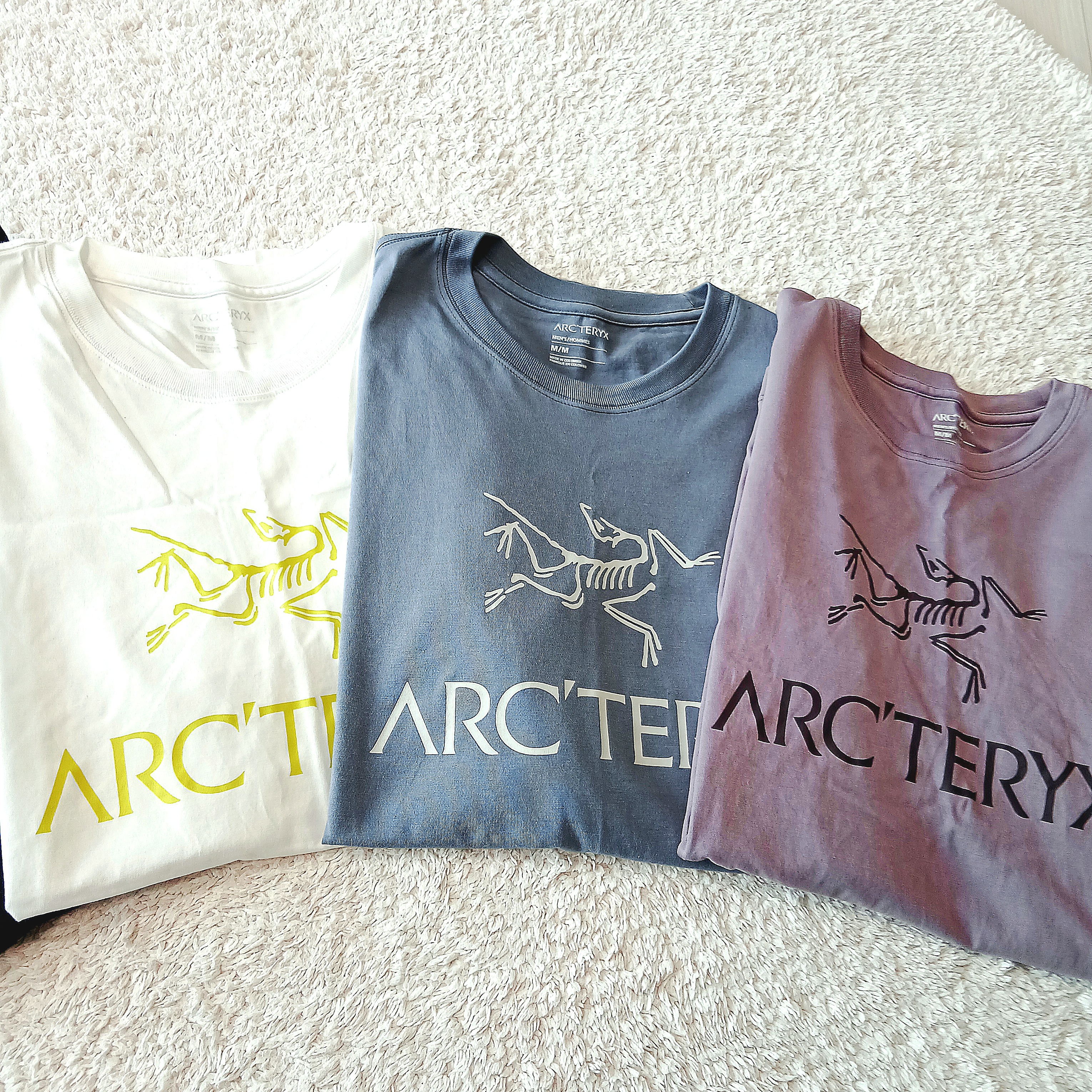 Arc'teryx Arc'word Logo SS T-Shirt White Light, Arc'teryx Arc'word Logo SS T-Shirt Stratus Arctic Silk 착용 스타일