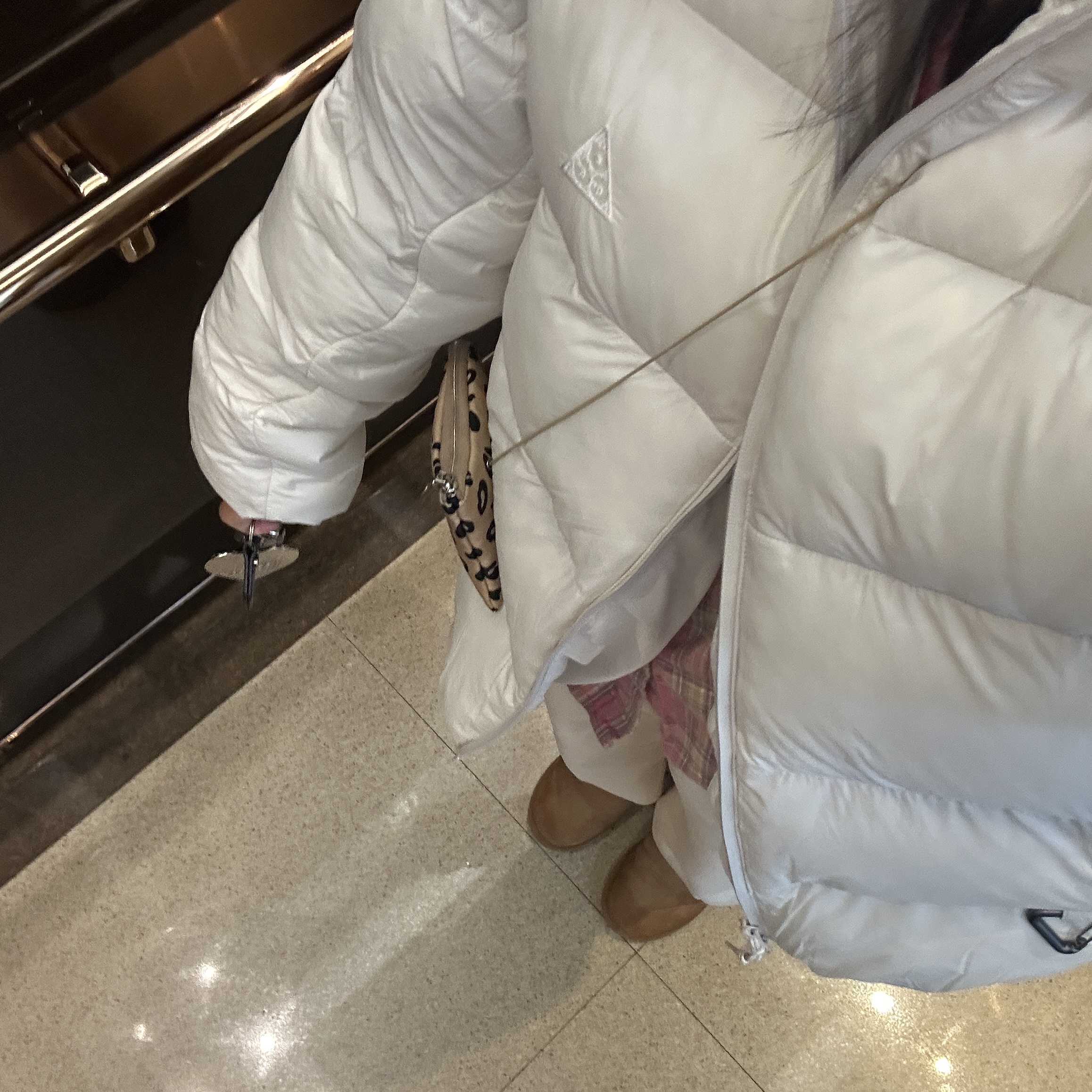 Nike ACG Therma-Fit ADV Lunar Lake Loose Hooded Jacket Light Orewood Brown - Asia, (W) UGG Classic Mini II Boots Chestnut 착용 스타일