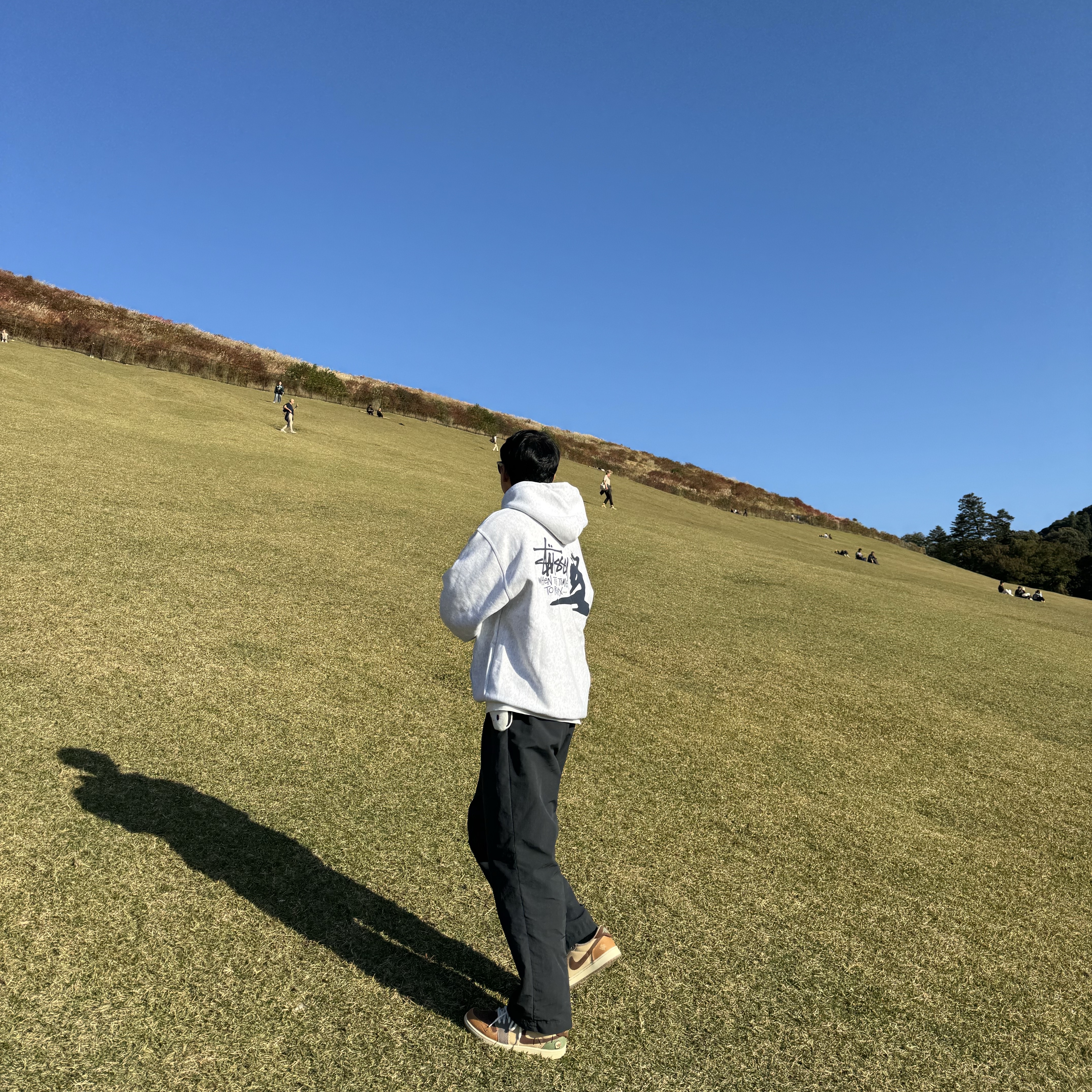 Jordan 1 x Zion Williamson Retro Low OG Flax and Oil Green, Stussy Relax Hoodie Ash Heather 착용 스타일
