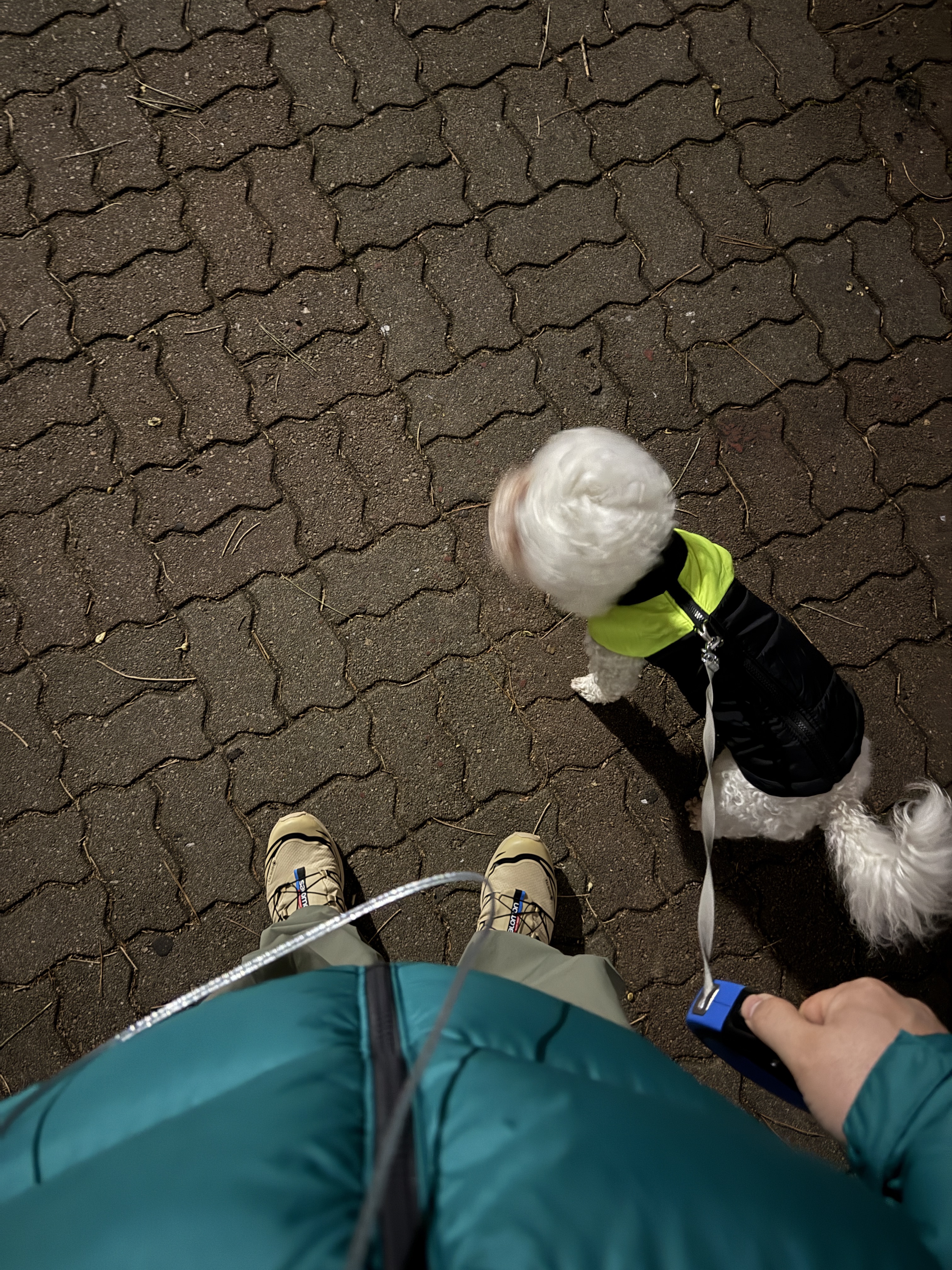 Salomon XT-6 GTX Safari Black, Arc'teryx Rampart Pants Forage 착용 스타일