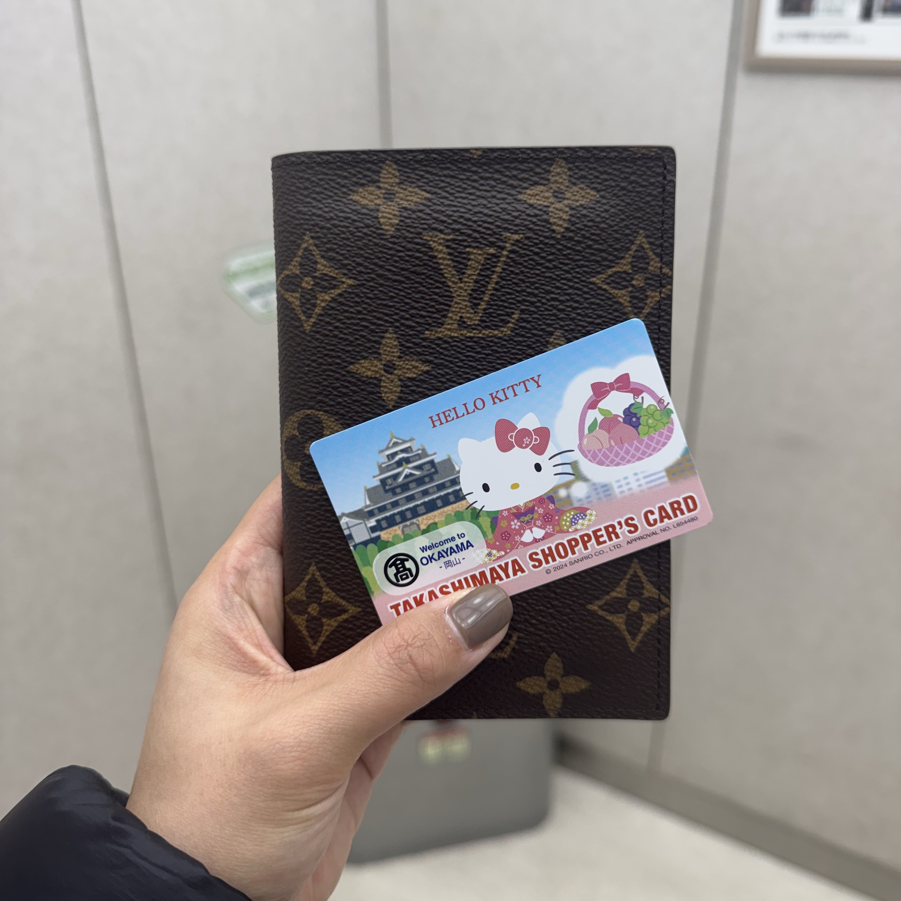 Louis Vuitton Pocket Organizer Monogram 착용 스타일