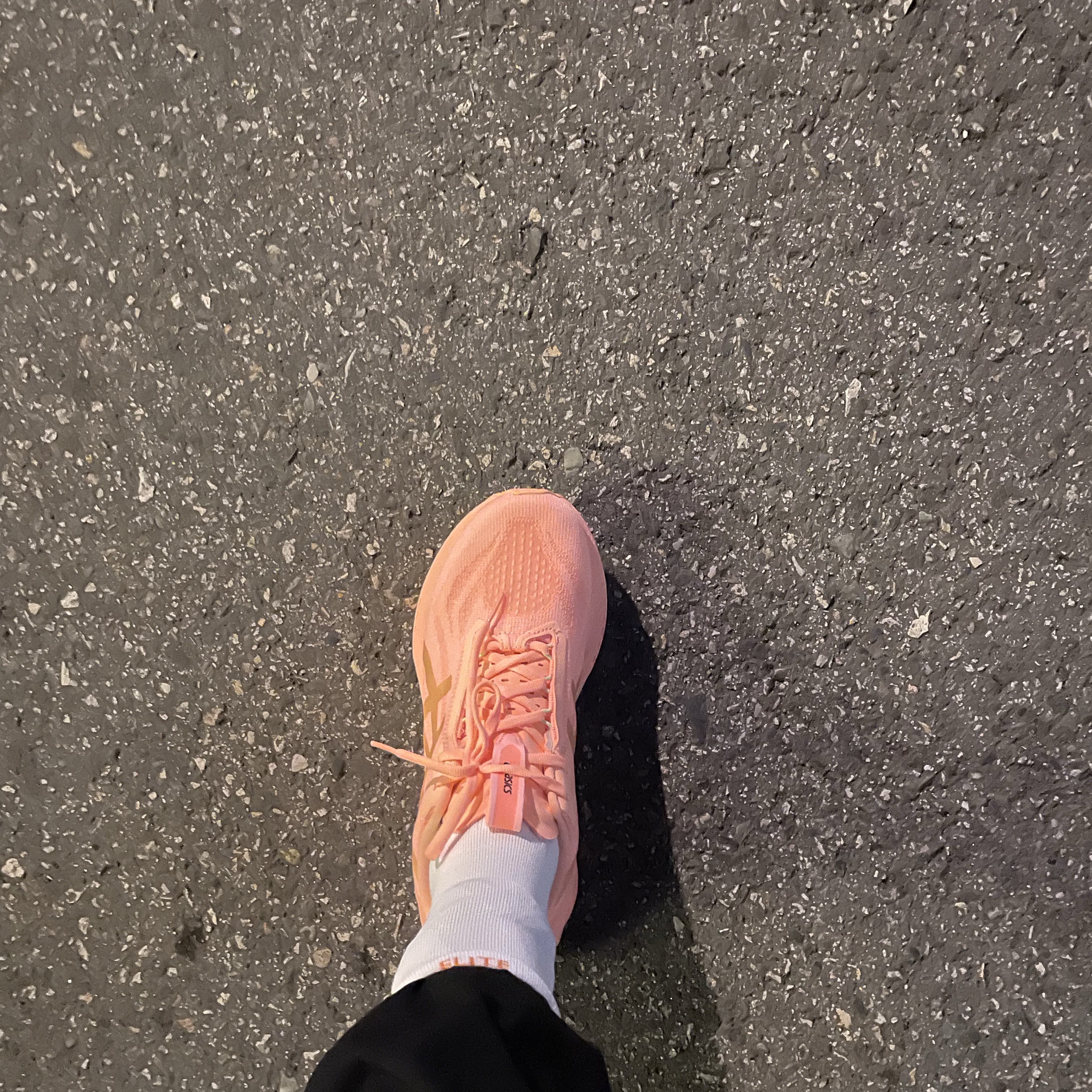 Asics Novablast 4 LE Bright Sunstone Faded Orange 착용 스타일