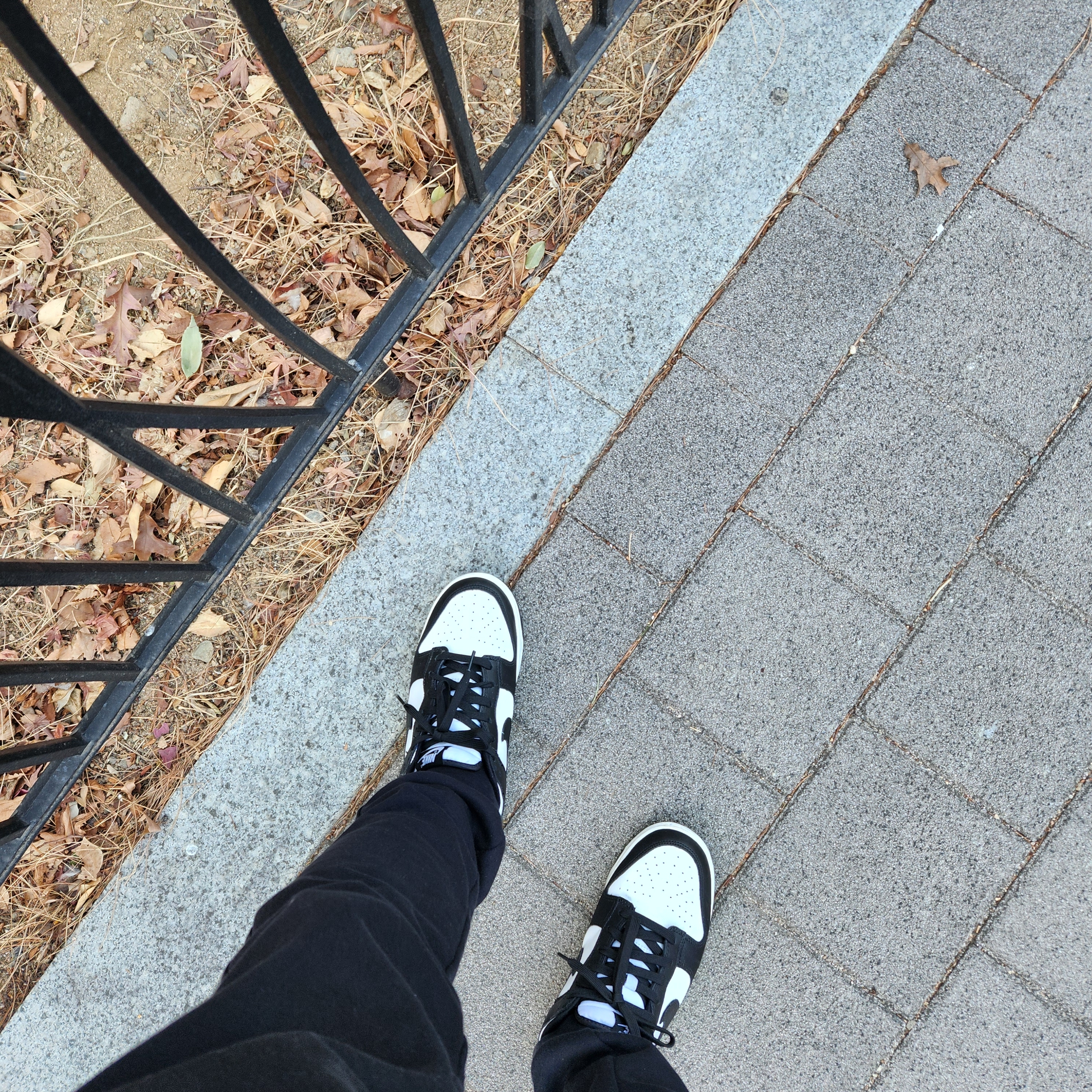 Nike Dunk Low Retro Black 착용 스타일