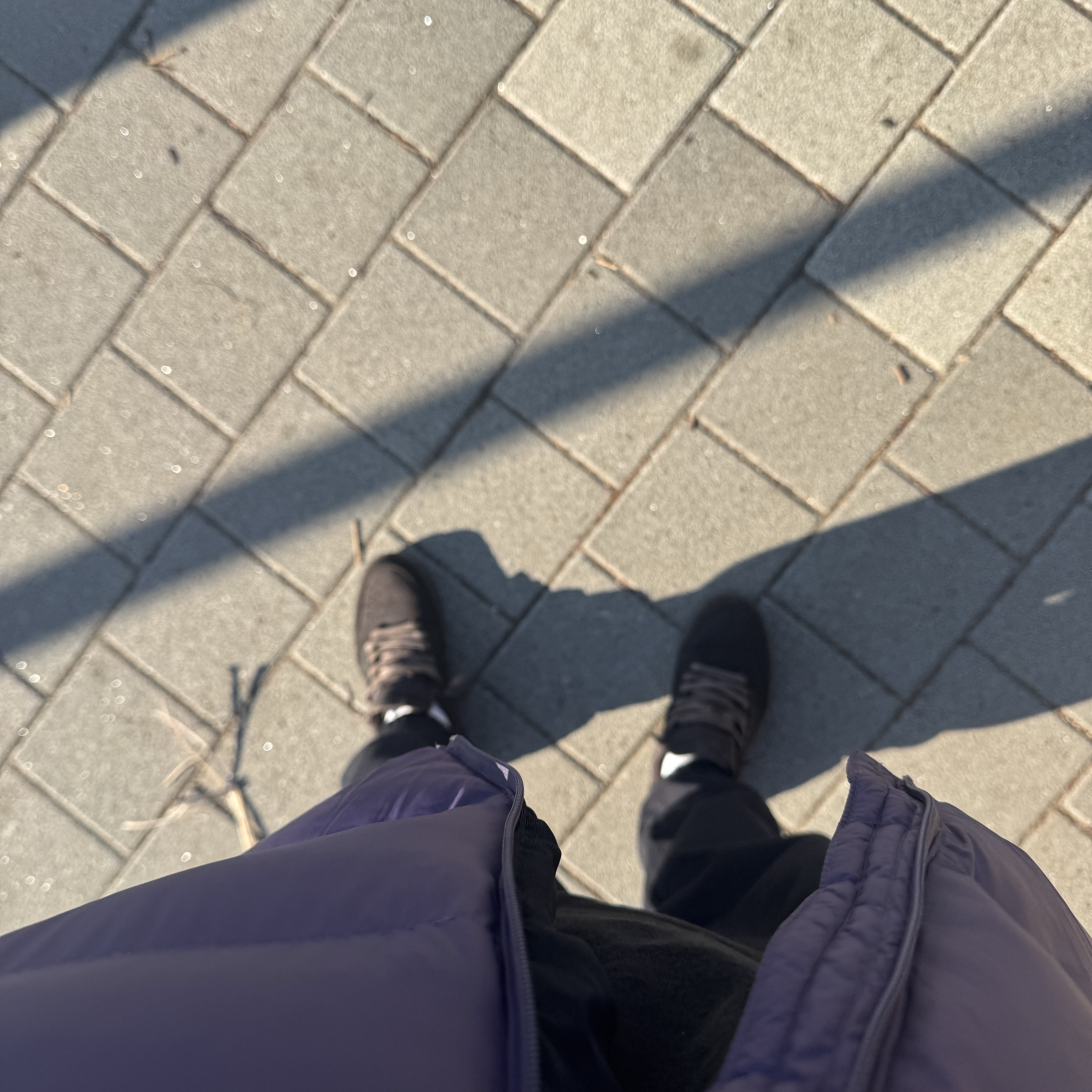 Jordan 1 x Travis Scott Retro Low OG SP Velvet Brown and Dark Mocha, Nike ACG Therma-Fit ADV Lunar Lake Loose Hooded Jacket Dark Raisin Black - Asia 착용 스타일 - 2