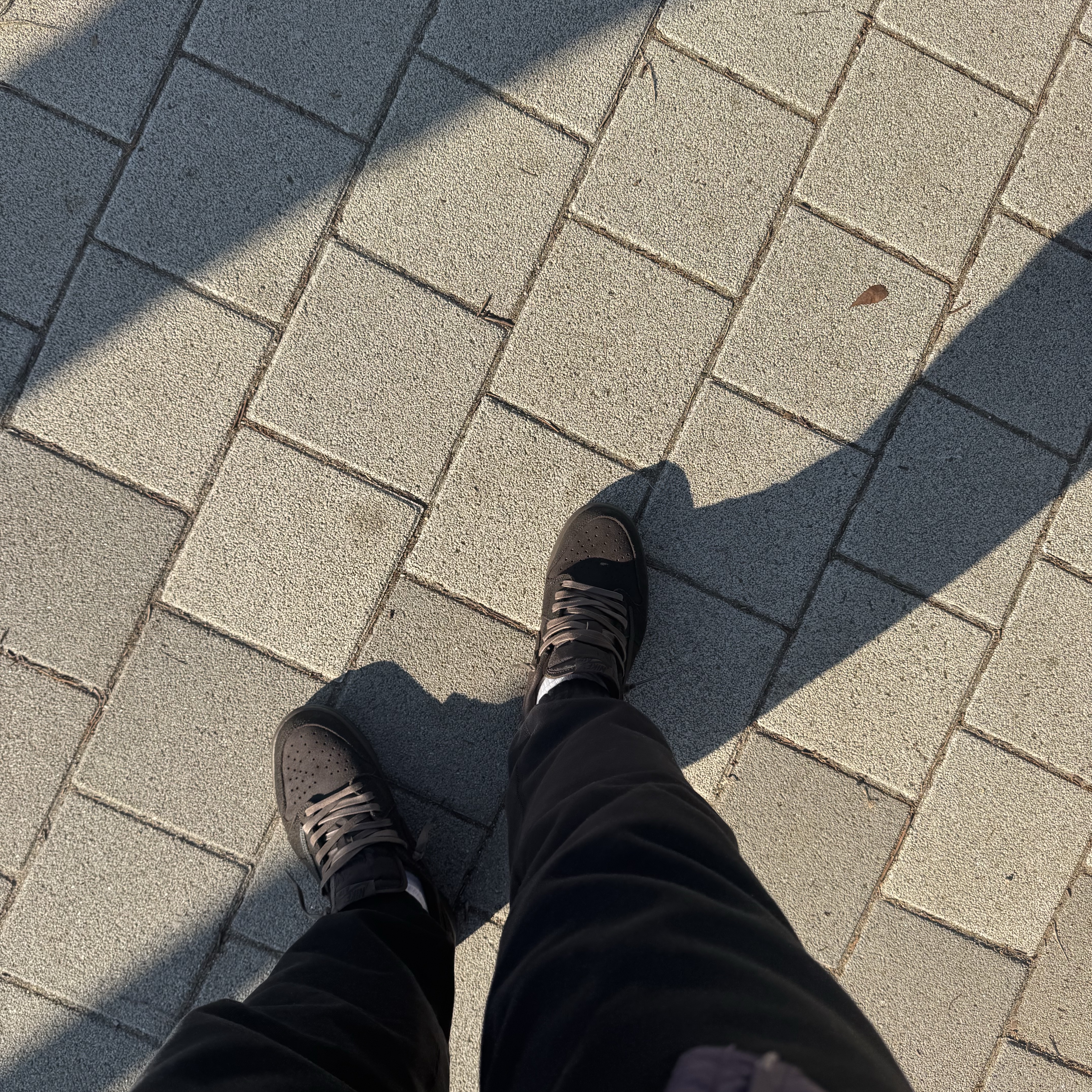 Jordan 1 x Travis Scott Retro Low OG SP Velvet Brown and Dark Mocha, Nike ACG Therma-Fit ADV Lunar Lake Loose Hooded Jacket Dark Raisin Black - Asia 착용 스타일 - 1