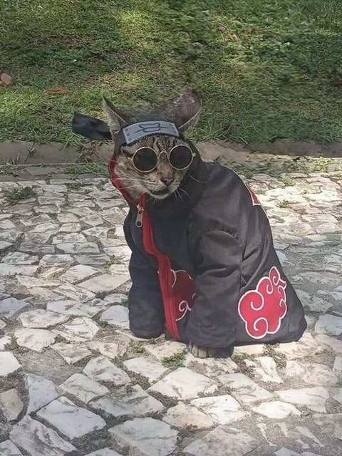 관심 유저 프로필 이미지