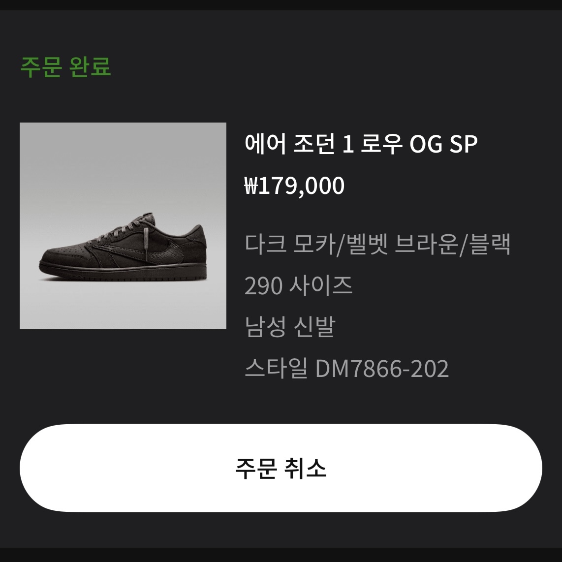 Jordan 1 x Travis Scott Retro Low OG SP Velvet Brown and Dark Mocha 착용 스타일