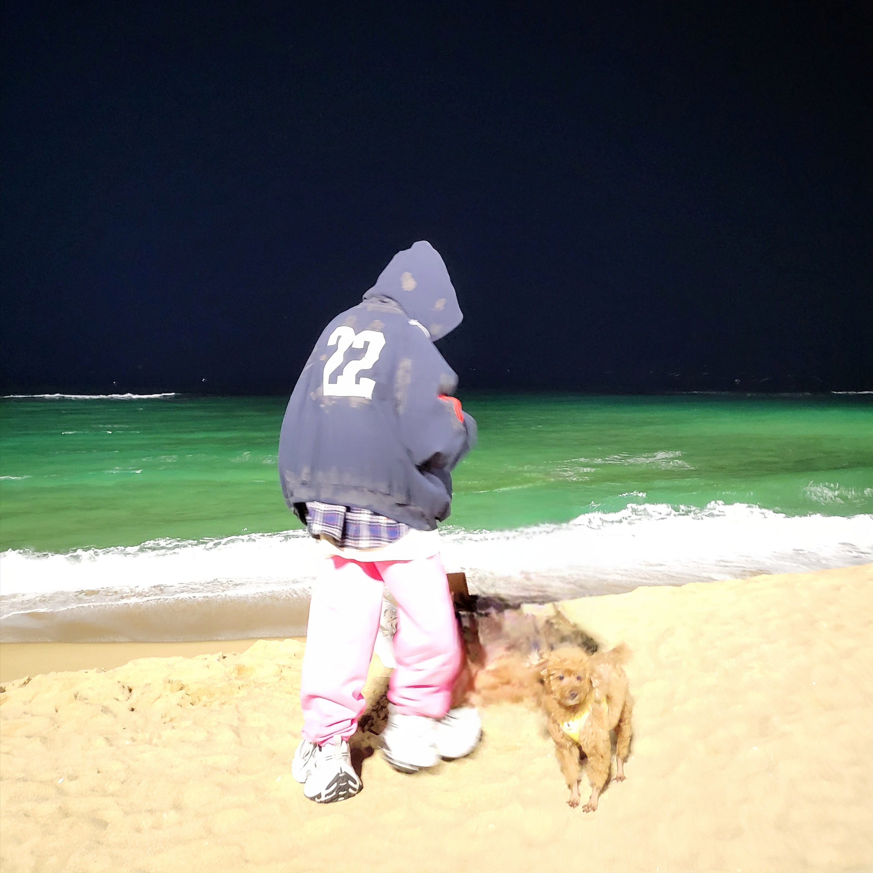 Project G/R Reversible Hoodie Check Shirts Navy, Nike x Stussy NRG Washed Fleece Pants Lotus PInk (DO5296-670) 착용 스타일
