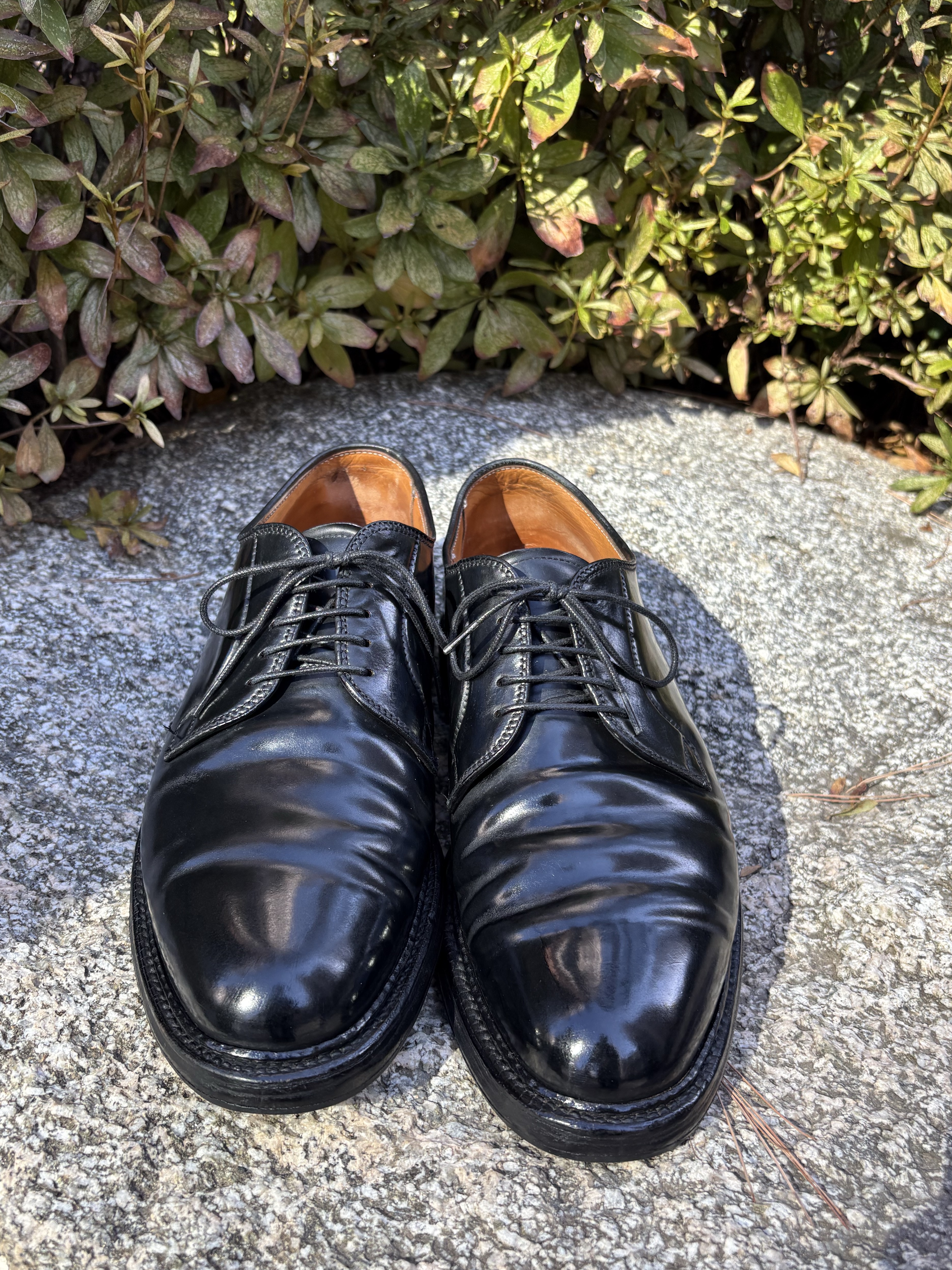 Alden 9901 Cordovan Plain Toe Blucher Oxford Black - D 착용 스타일