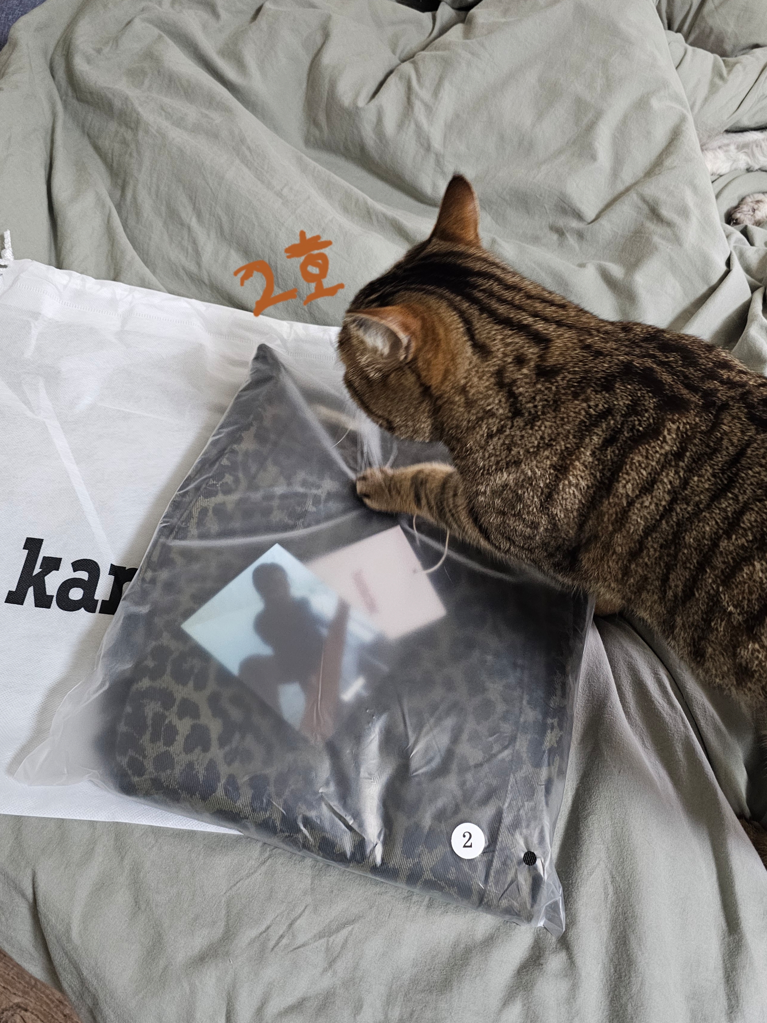 Karactor Lumping Cargo Pants Leopard Khaki 착용 스타일 - 2