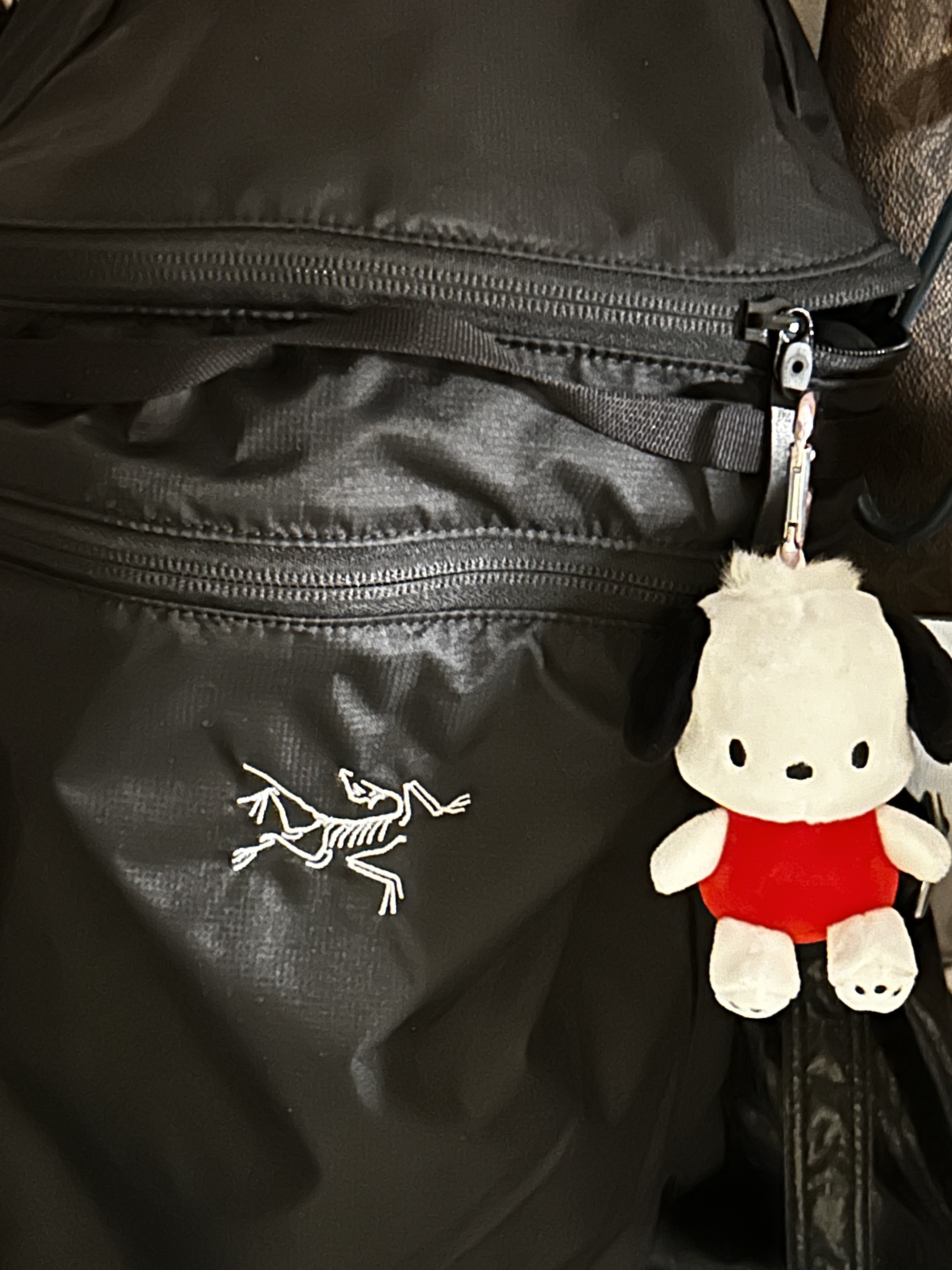 Arc'teryx Heliad 15 Backpack Black 착용 스타일