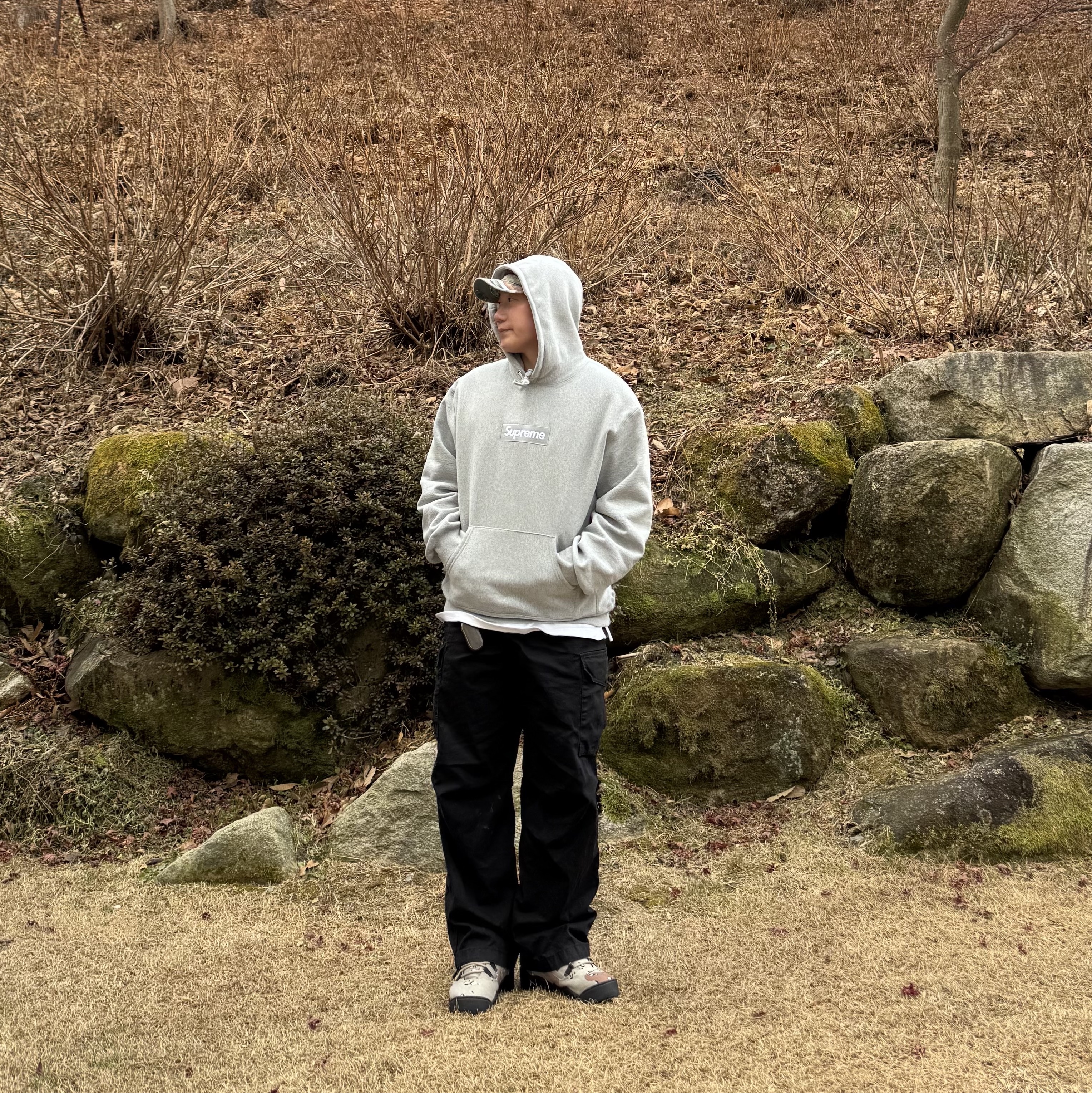 Nike x Supreme SB Darwin Low Desert Camo, Supreme Box Logo Hooded Sweatshirt Heather Grey - 24FW 착용 스타일 - 1