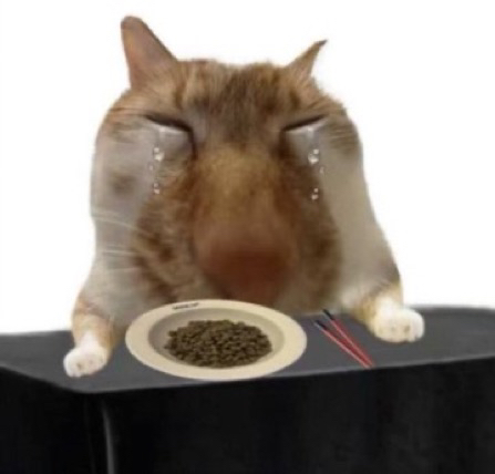 관심 유저 프로필 이미지