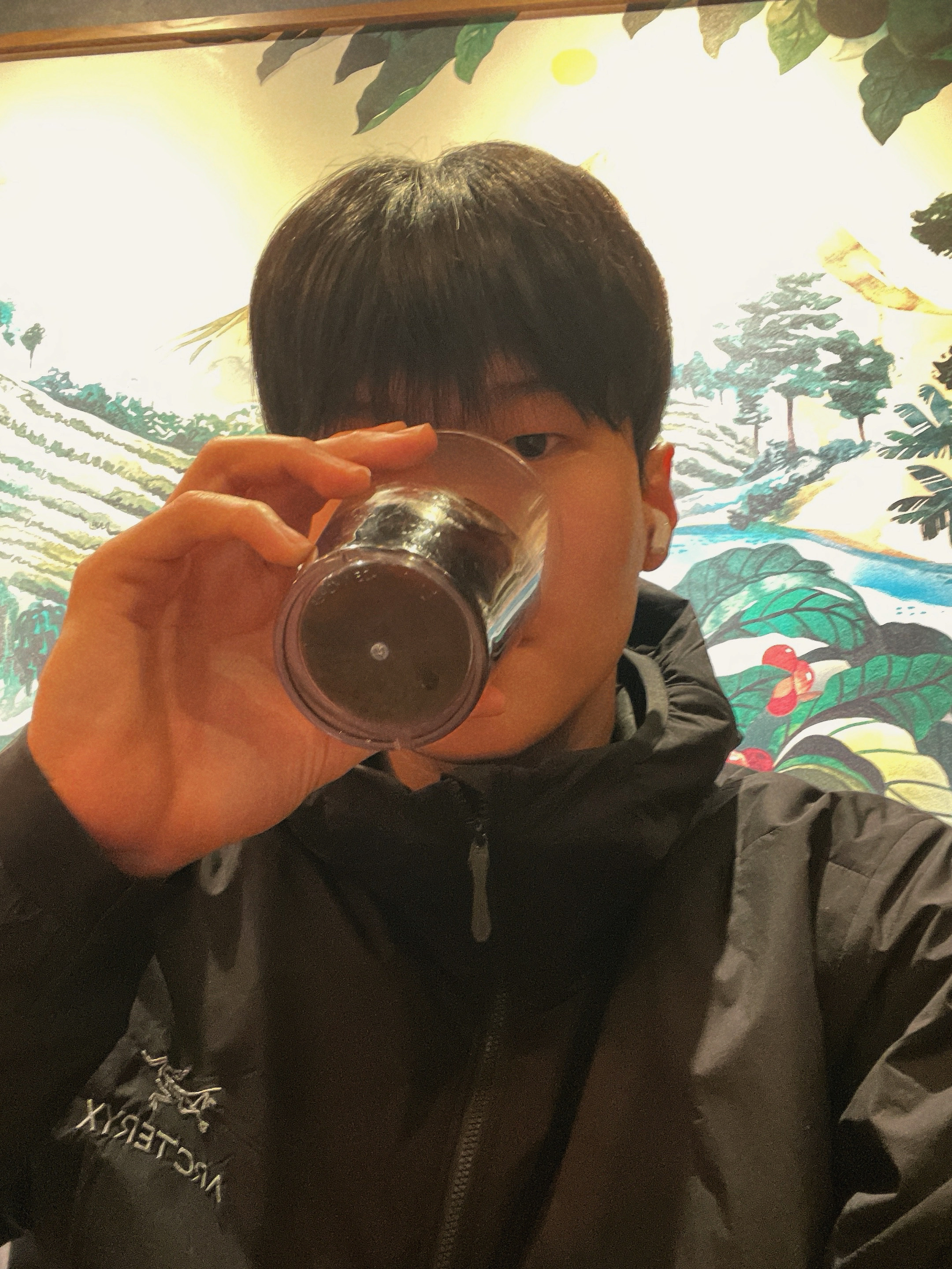 Arc'teryx Atom Hoody Black, Adidas Tobacco Gruen Dark Brown 착용 스타일 - 1