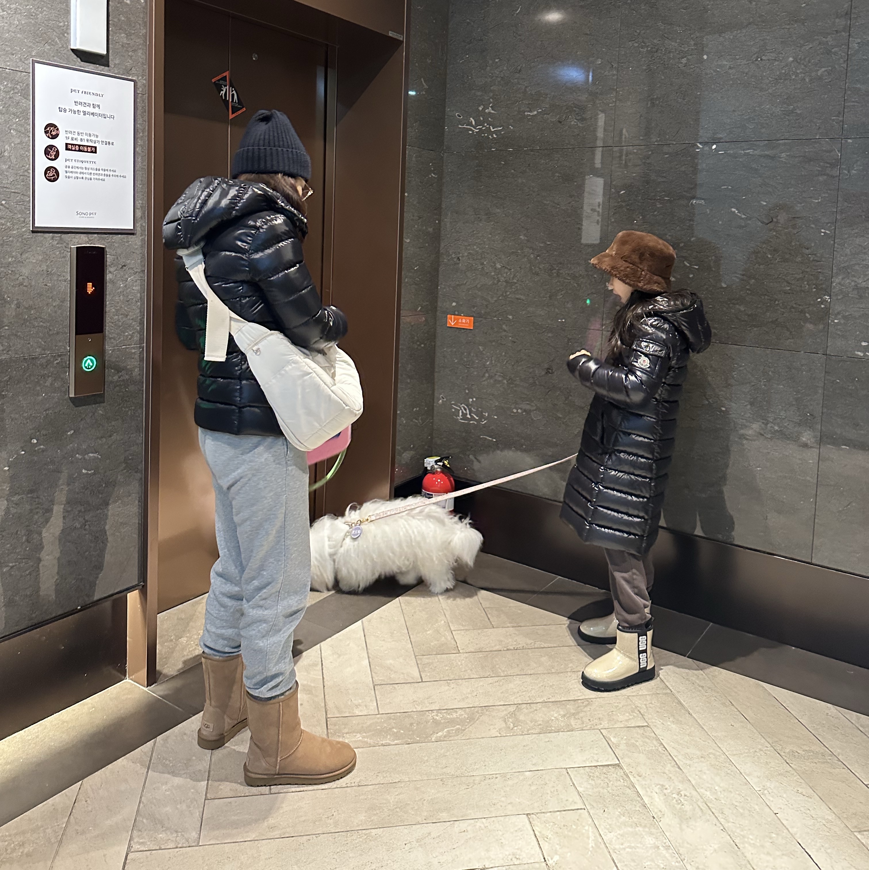 (W) UGG Classic Short II Boots Chestnut 착용 스타일