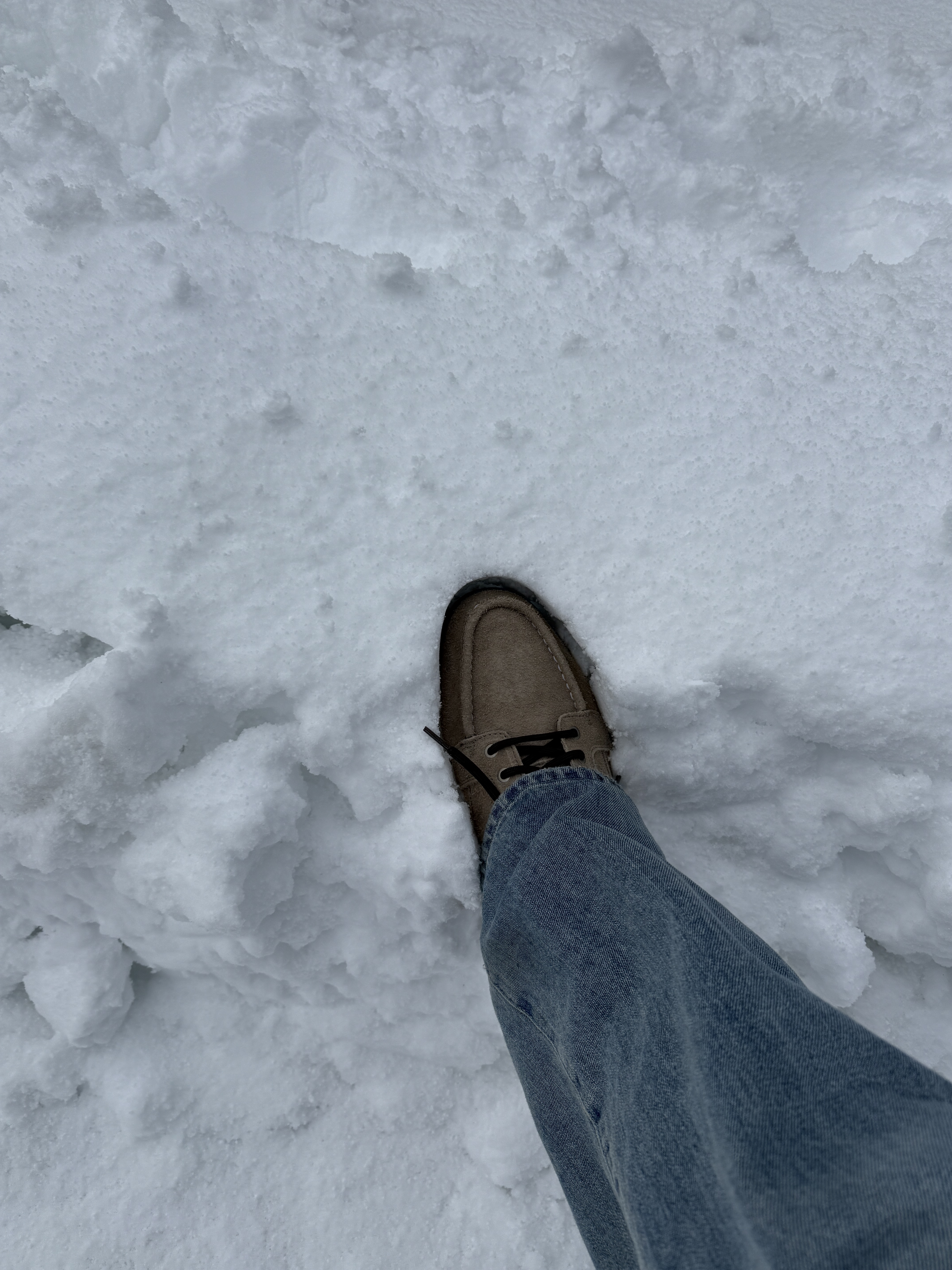 Timberland x Thisisneverthat Heritage Gore-Tex Moc Toe Mid Boots Desert - Wide 착용 스타일 - 2