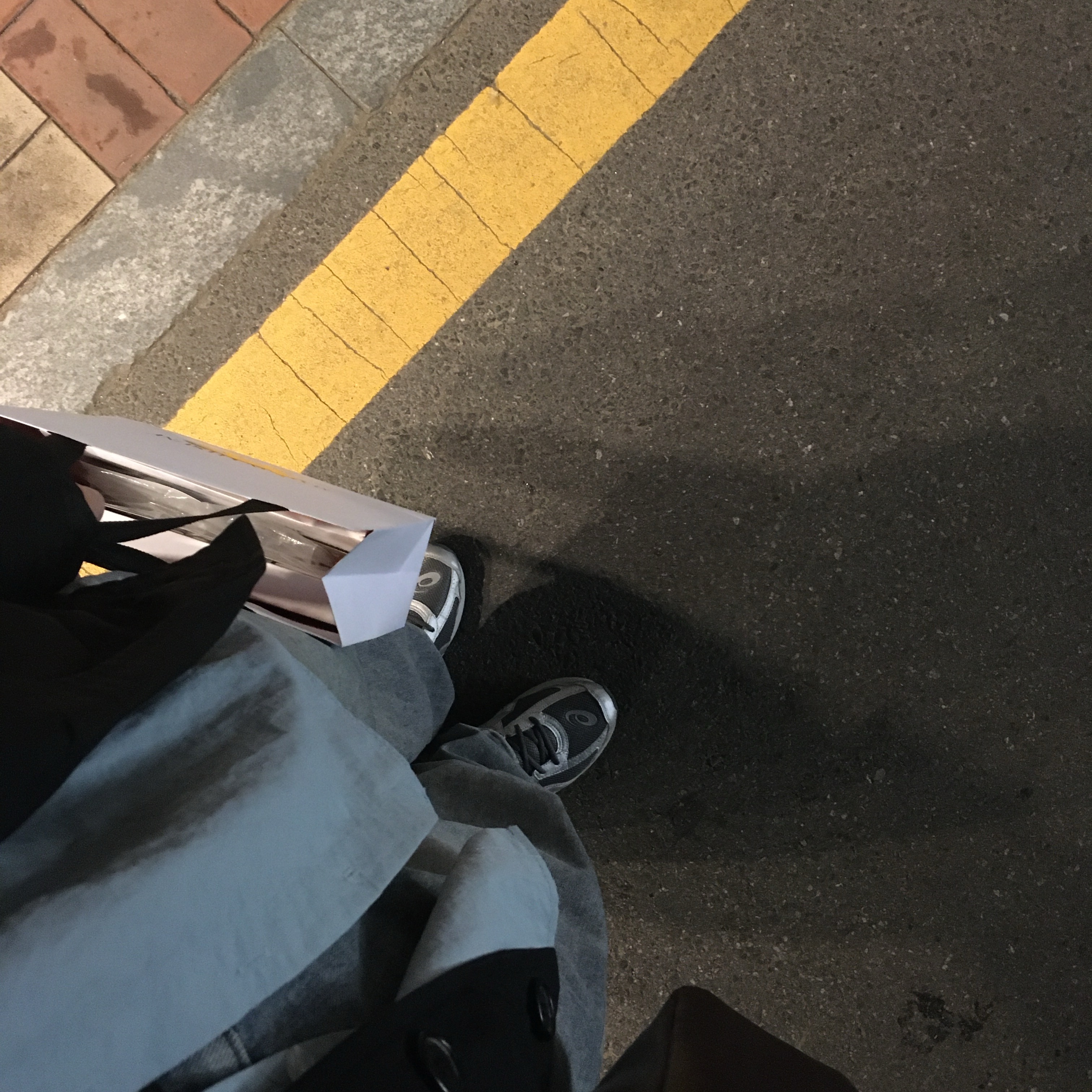 Prada Re-Nylon Saffiano Leather Shoulder Bag Black, Asics Jog 100 S SMU Sheet Rock Pure Silver - 2E Wide 착용 스타일 - 1