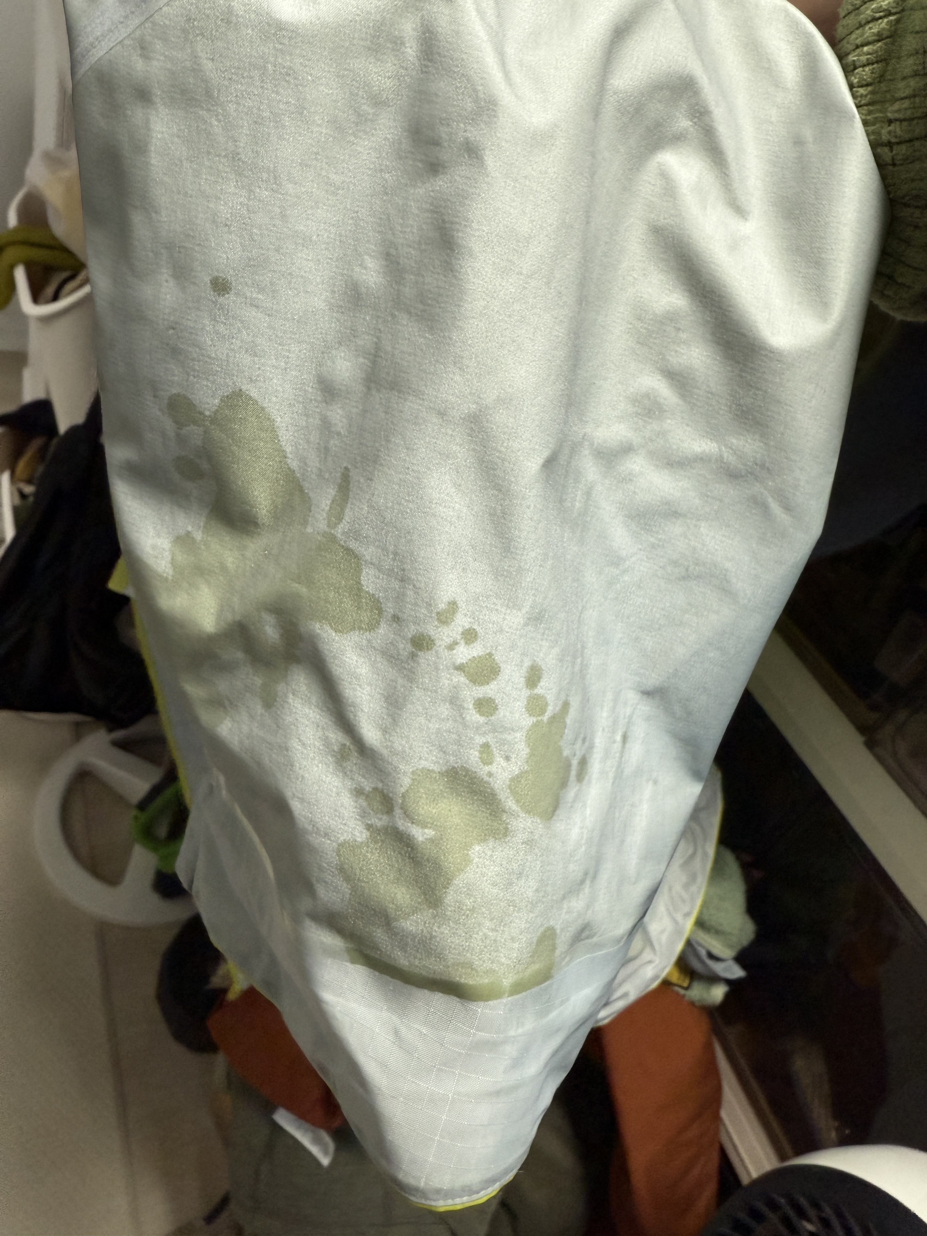 Arc'teryx Alpha SV Jacket Forage 착용 스타일 - 2