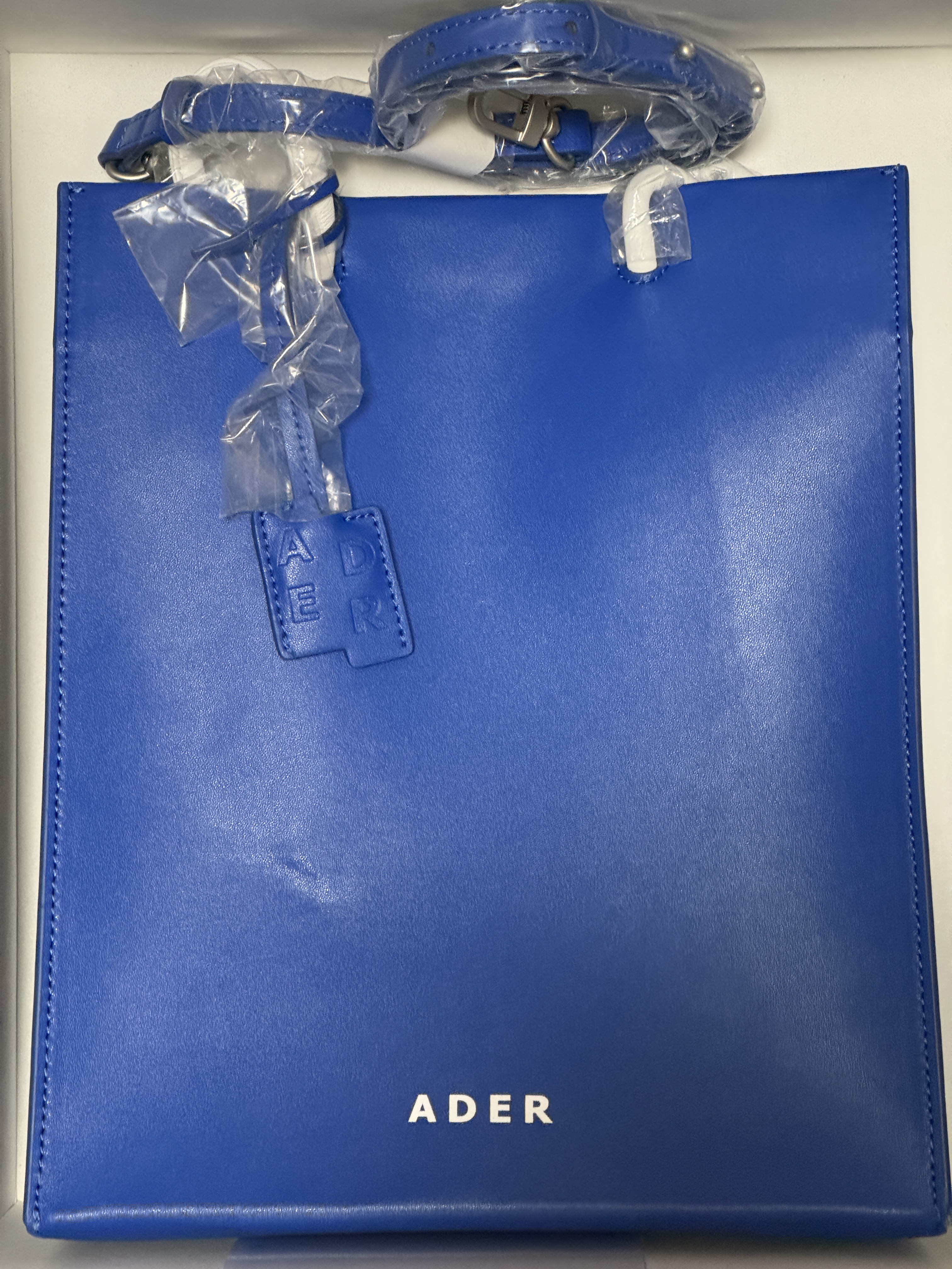 Ader Error Shopper Bag Blue 착용 스타일