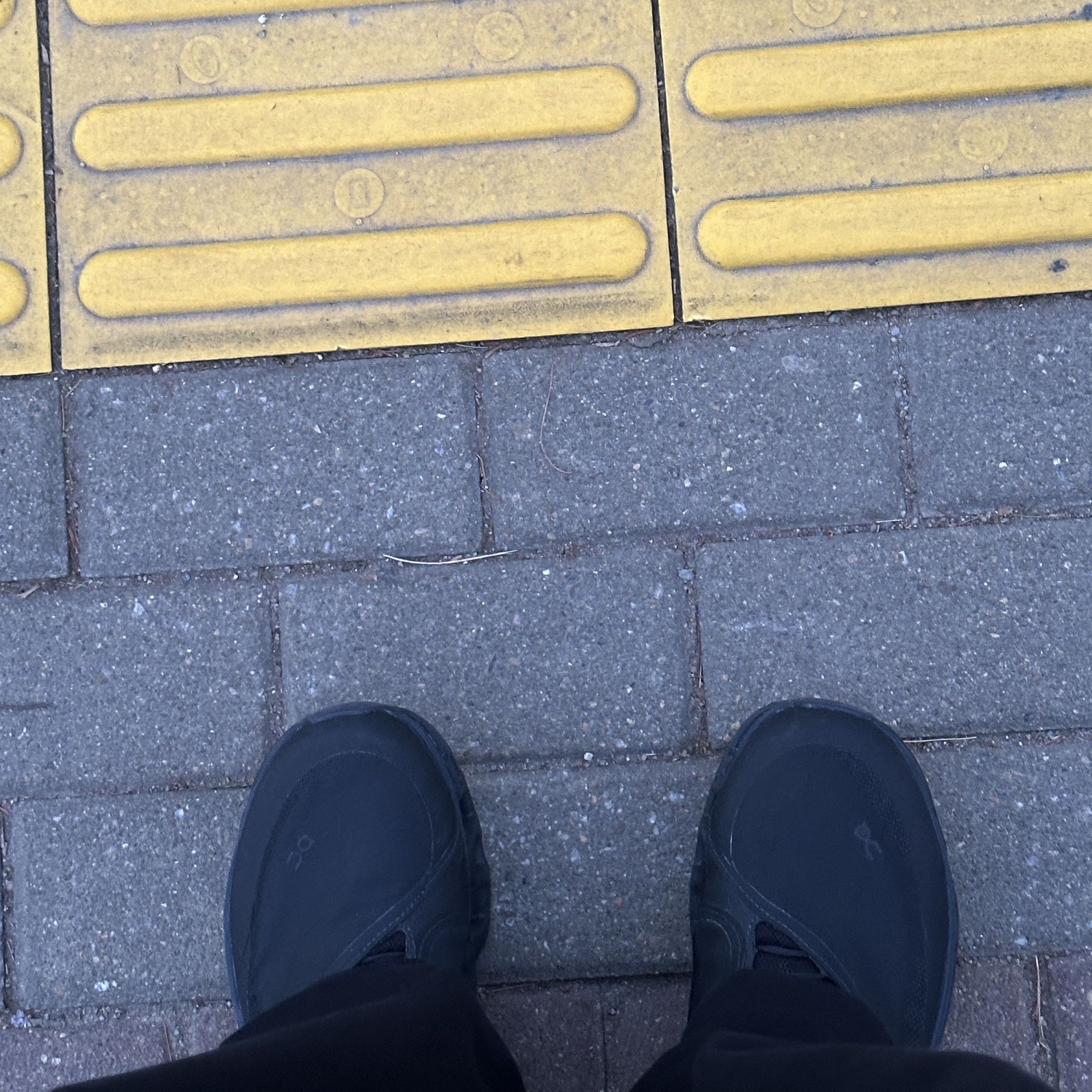 sny님의 스타일