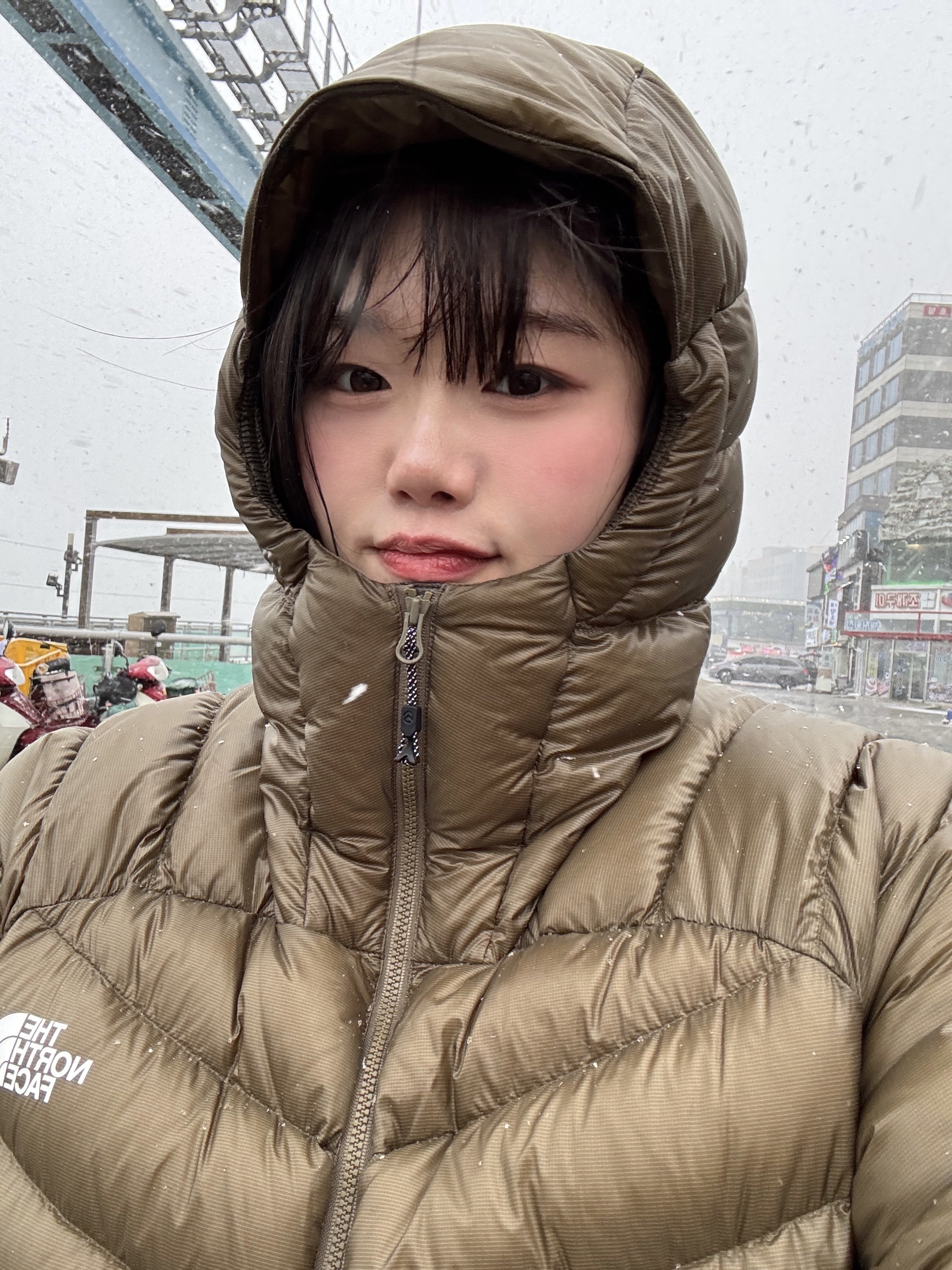 The North Face Summit Mattehorn RDS Down Jacket Khaki 착용 스타일