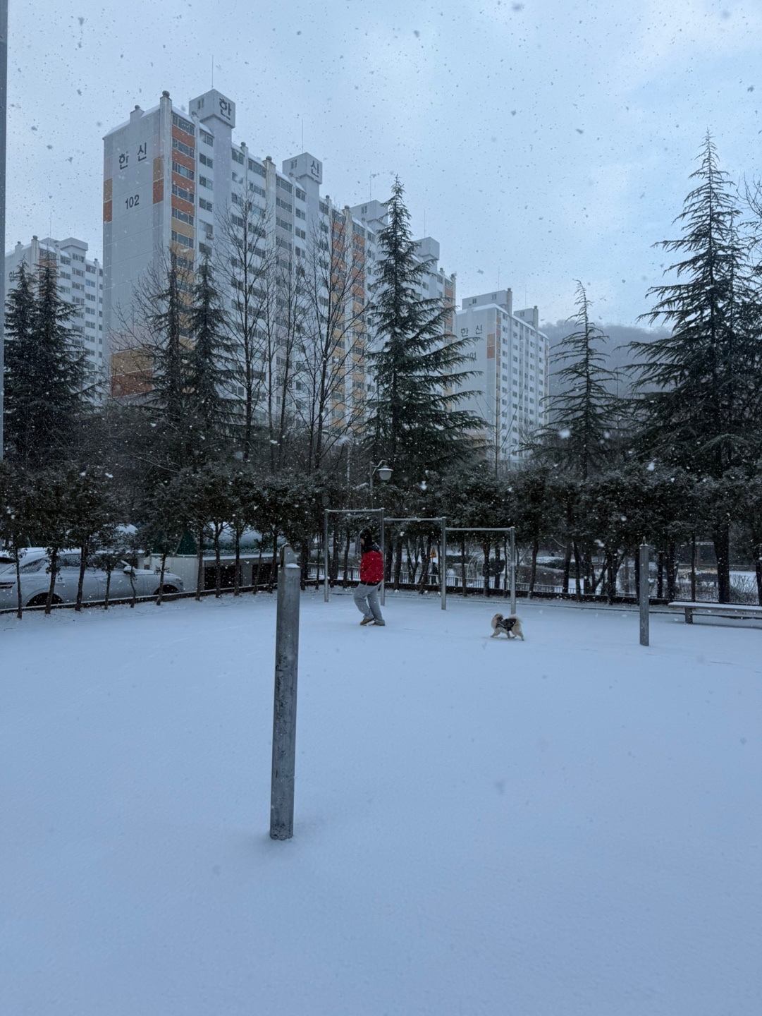 핼둥님의 스타일 - 2