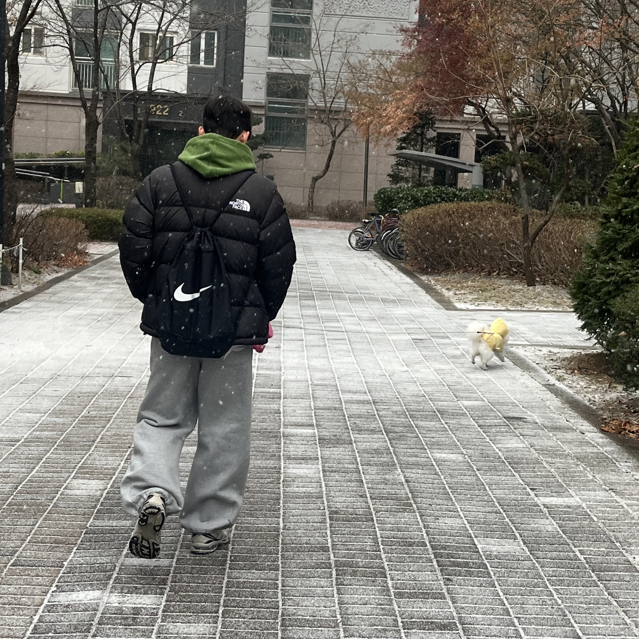 Human Made Fleece Hoodie Green, Asics Unlimited Gel-Kayano 14 Smoke Grey 착용 스타일
