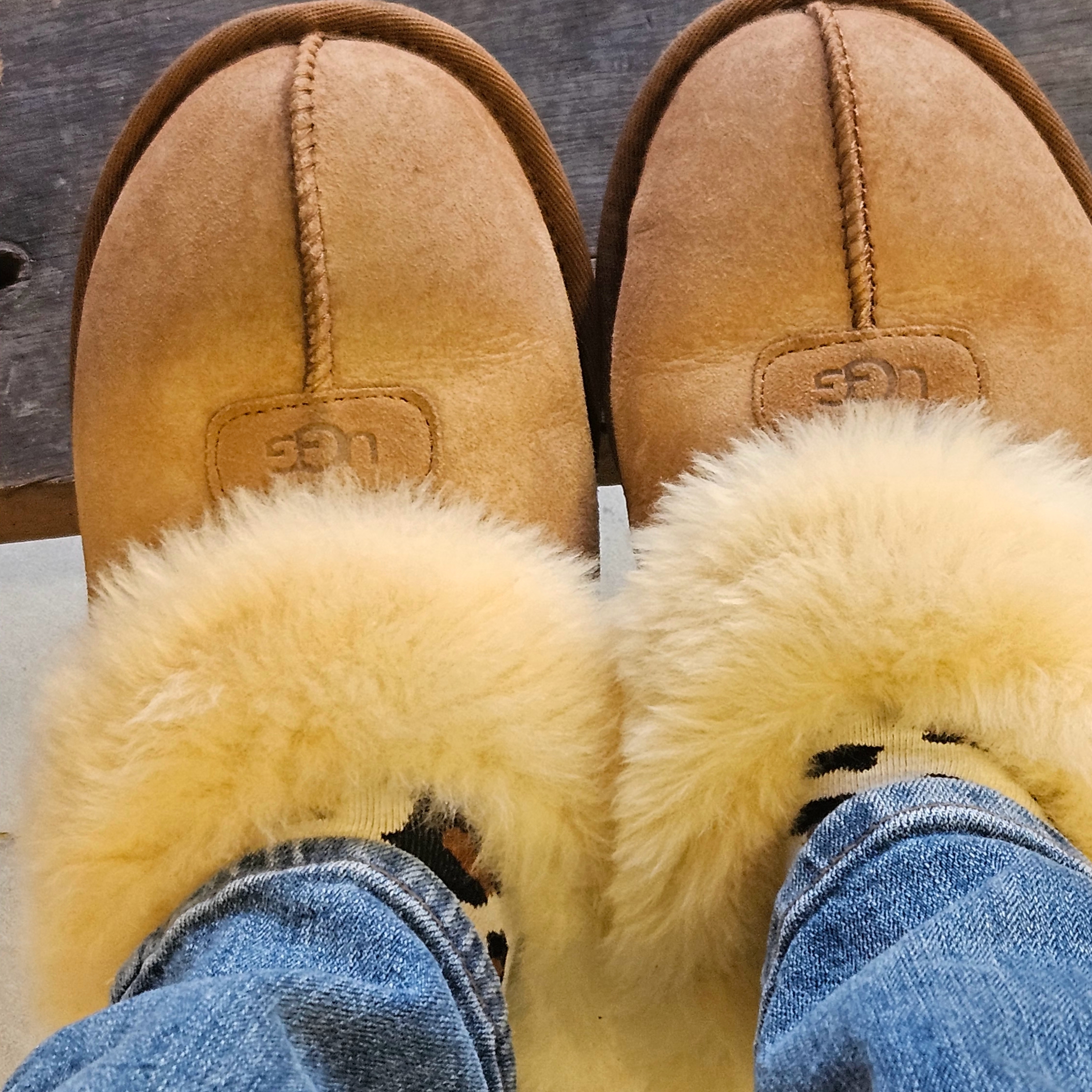 (W) UGG Coquette Slipper Chestnut, COS Quilted Mini Bag Cream 착용 스타일 - 1