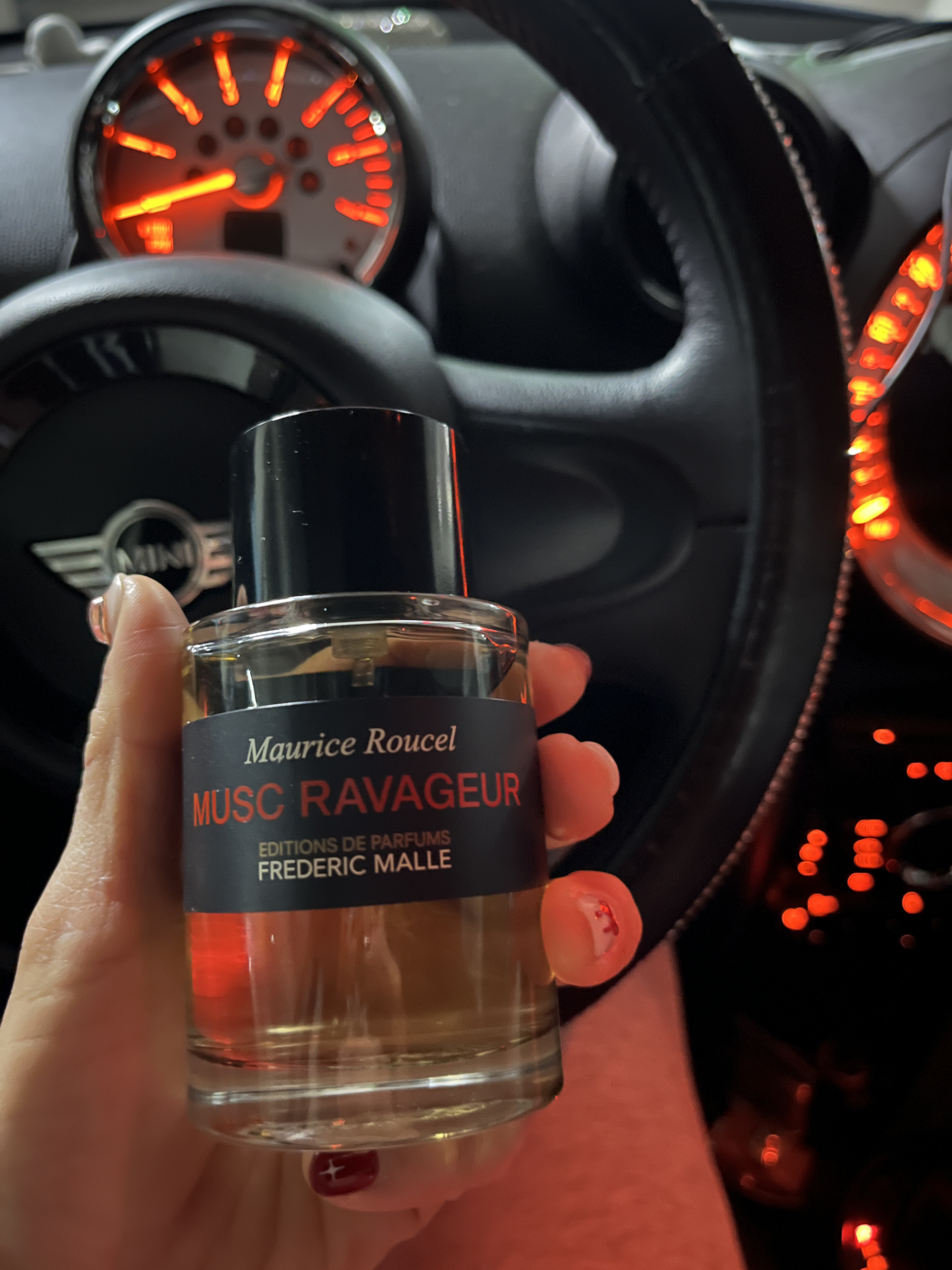 Frederic Malle Musc Ravageur 100ml Spray 착용 스타일 - 1