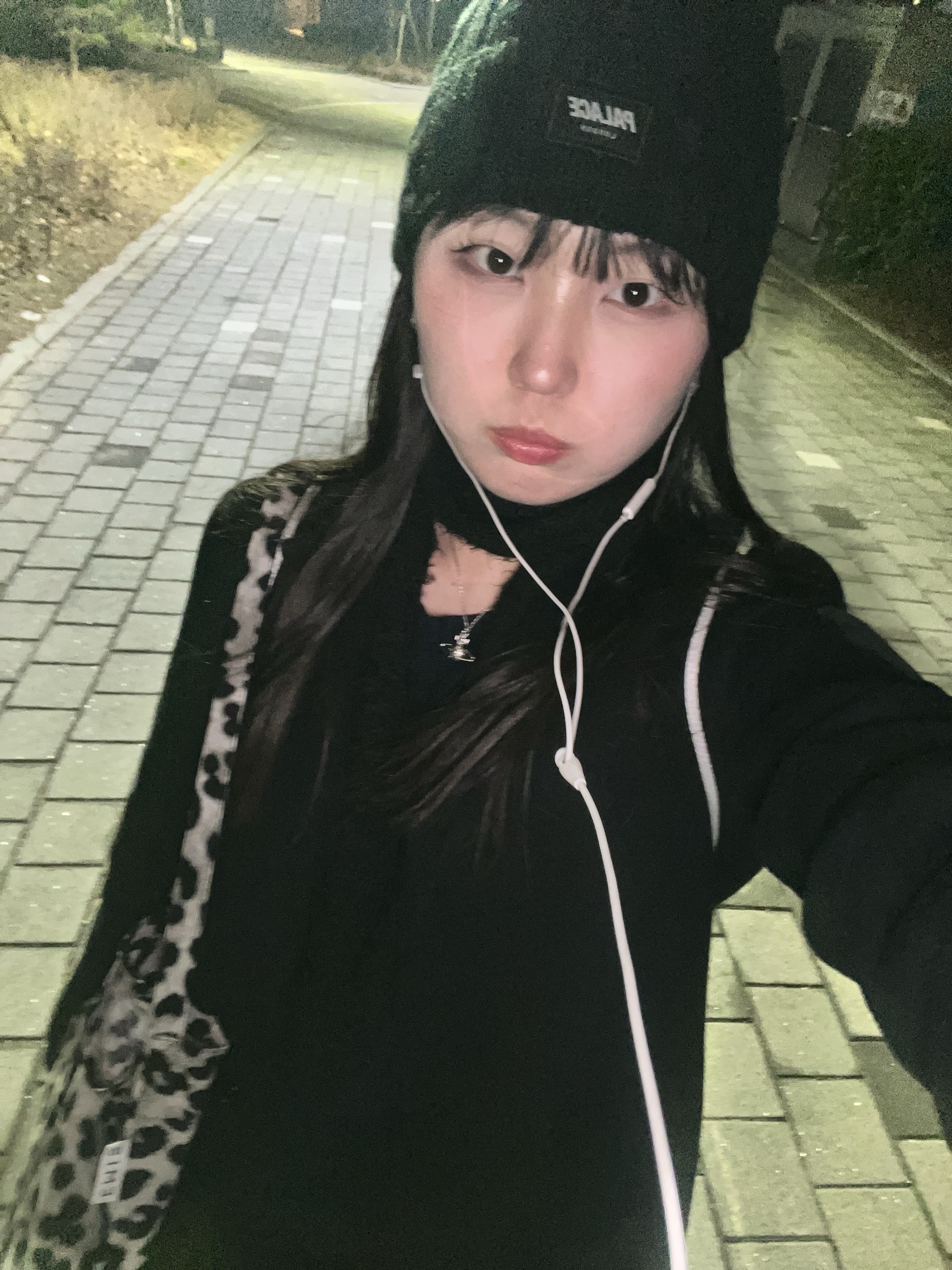 Emis New Leopard Corduroy Eco Bag Gray, Palace P Link Beanie Black - 24FW 착용 스타일 - 3