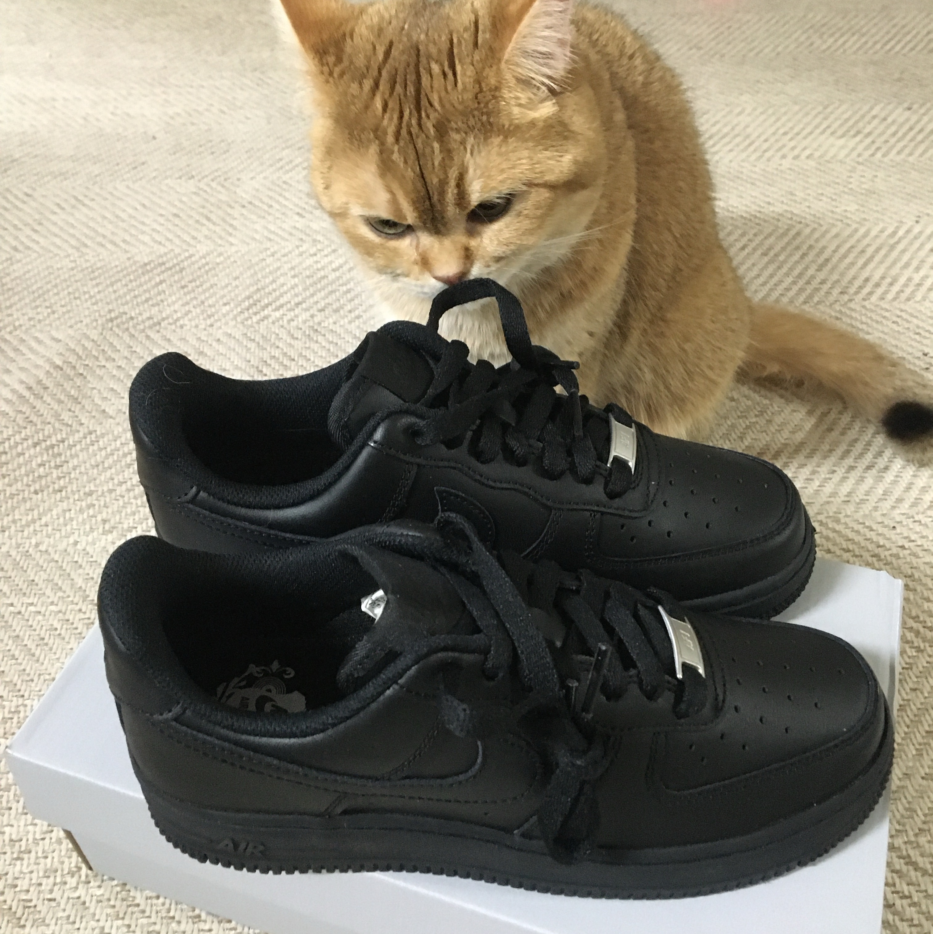 (W) Nike Air Force 1 '07 Low Triple Black 착용 스타일