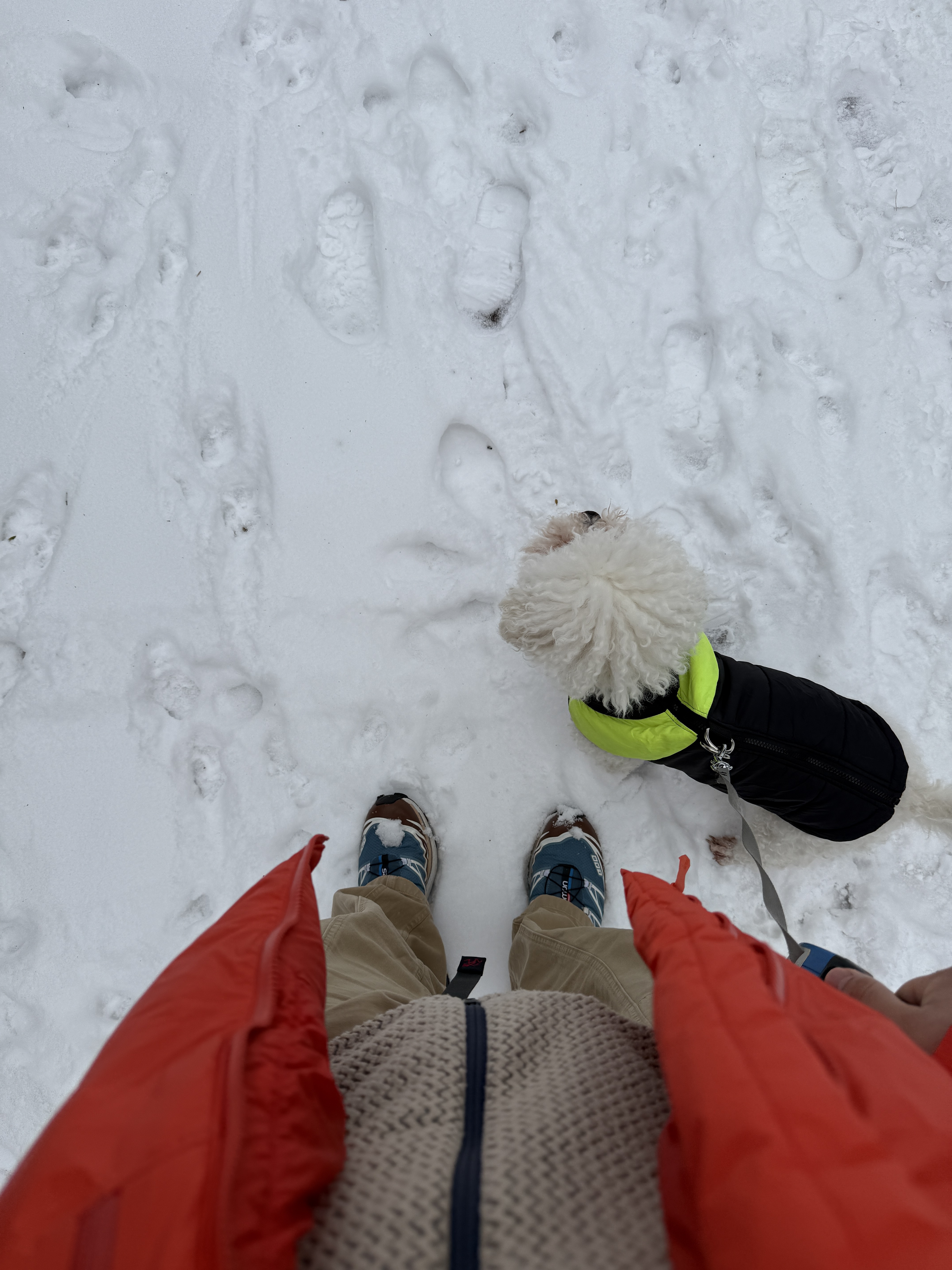 Arc'teryx Alpha Parka Dynasty, Patagonia R1 Air Full-Zip Hoody Oar Tan 착용 스타일