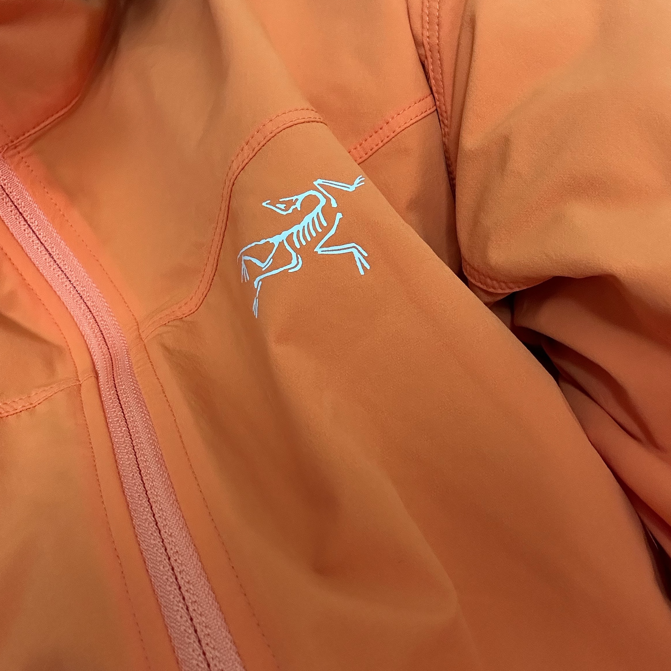 Arc'teryx Gamma Lightweight Jacket Black 착용 스타일 - 1