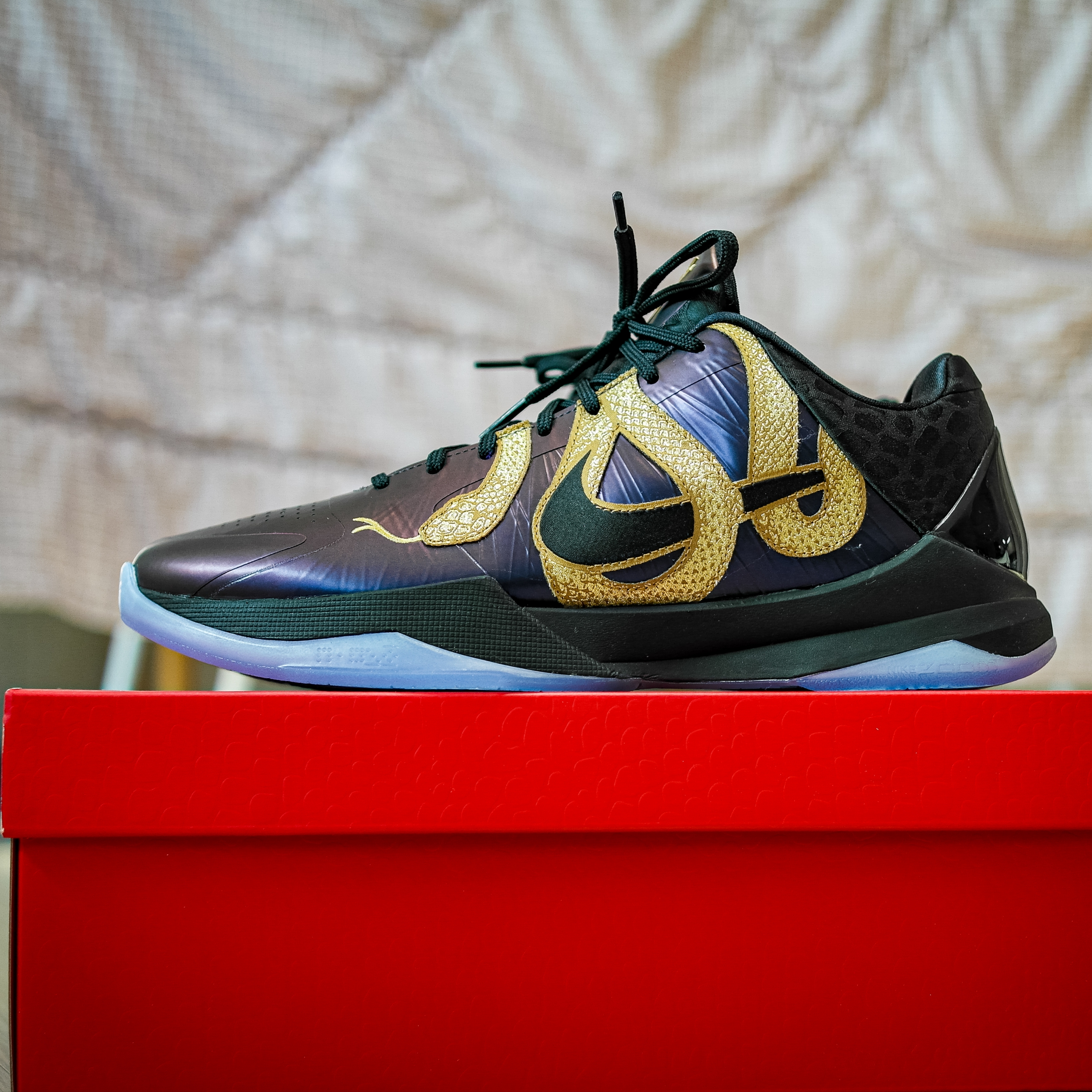 Nike Kobe 5 Protro Year of the Mamba Eggplant 착용 스타일 - 9
