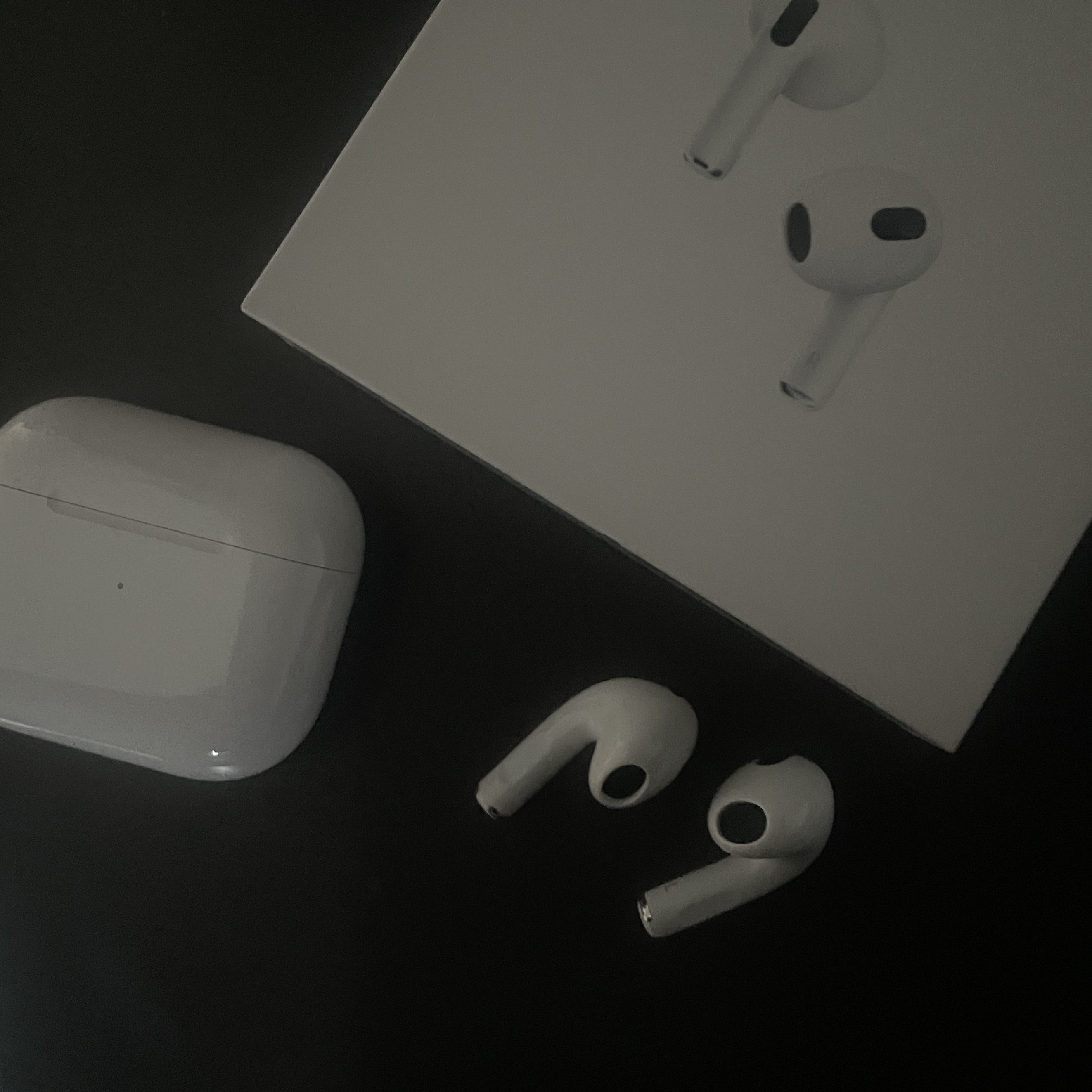 Apple Airpods 3rd Gen with MagSafe Charging Case (Korean Ver.) 착용 스타일