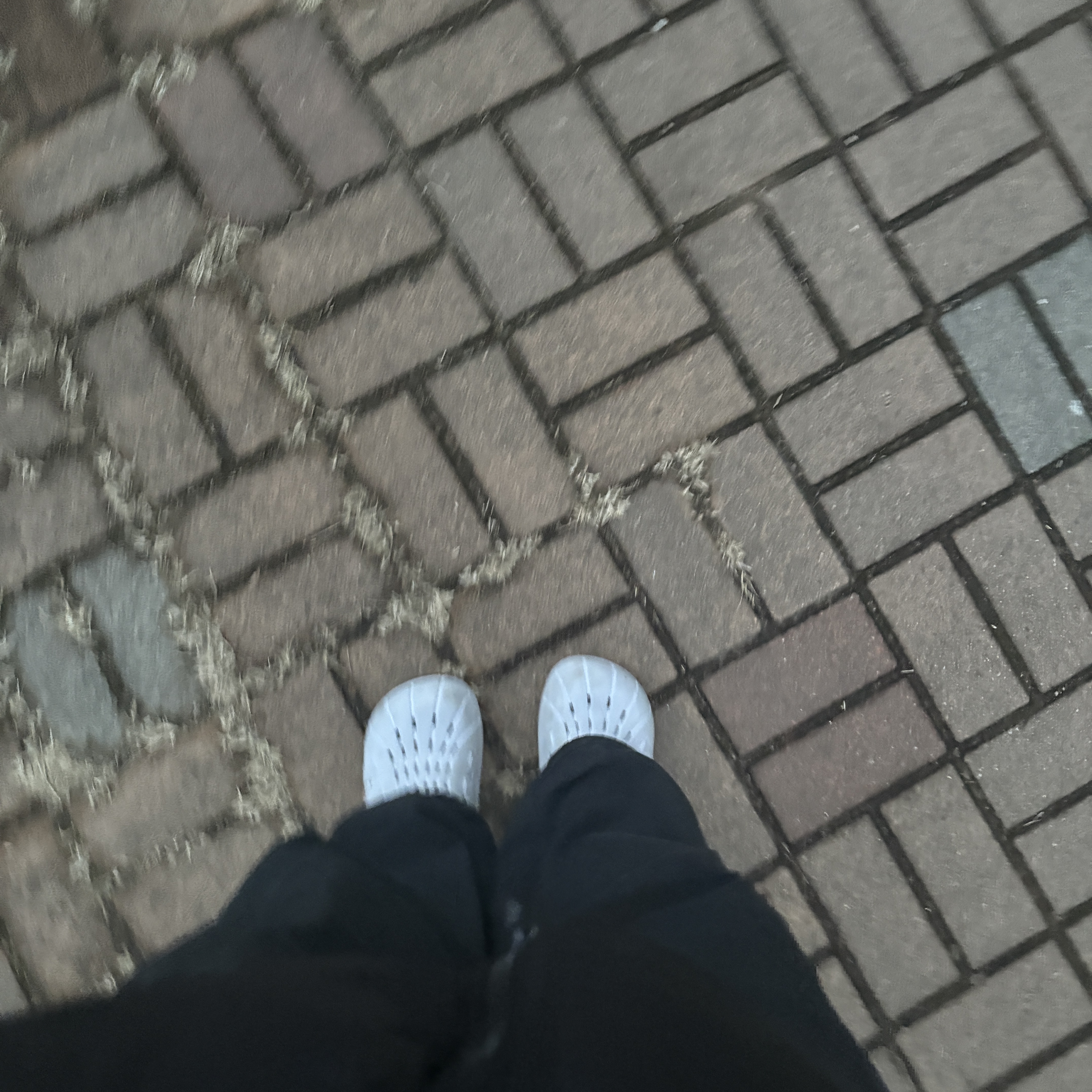 Adidas Adilette Clog White Black 착용 스타일