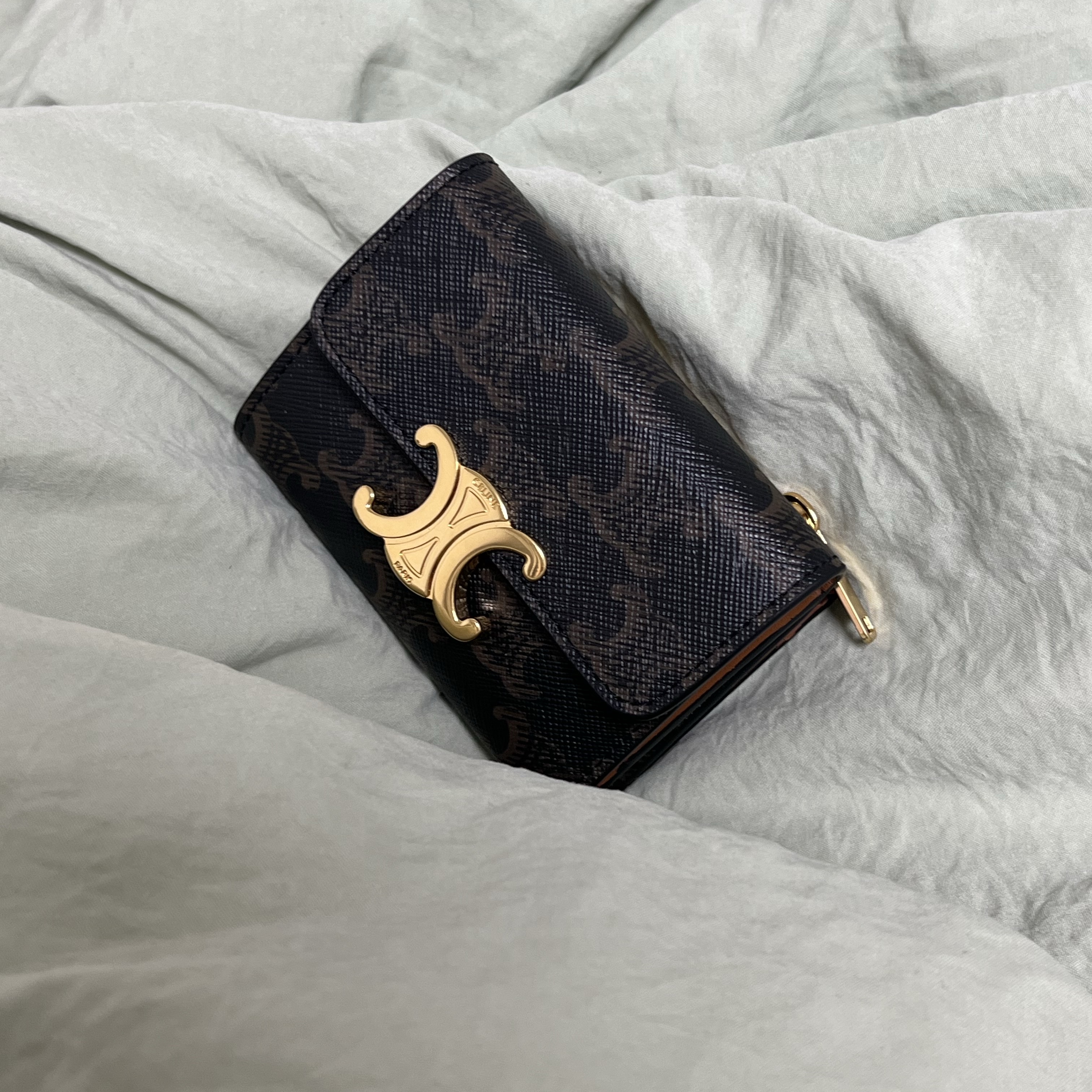 Celine Compact Wallet with Coin in Triomphe Canvas Tan 착용 스타일