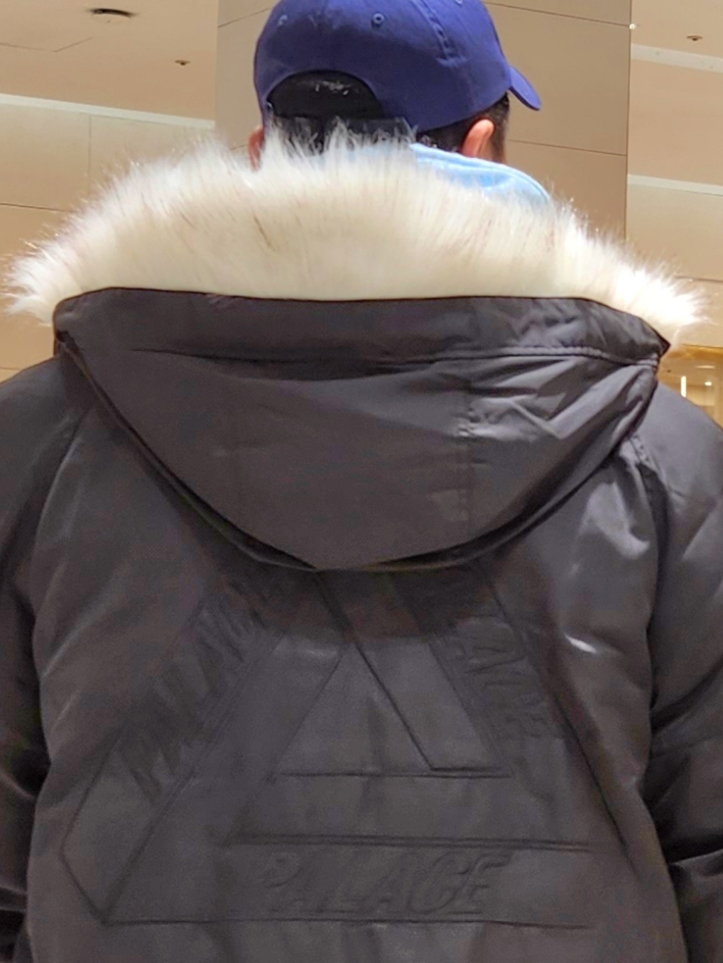 Palace x Gap Flag 6-Panel Navy - 24SS, Palace Tri-Dart Hood Pale Blue - 20FW 착용 스타일 - 3