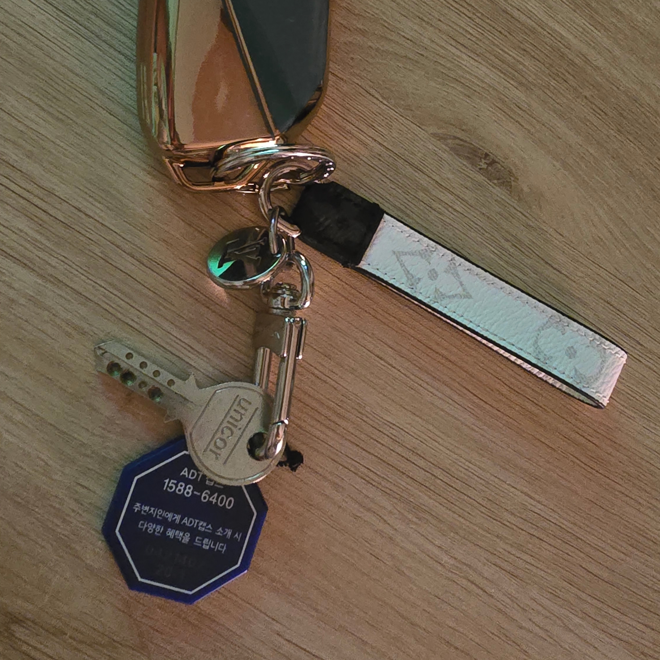 Louis Vuitton Slim Dragonne Bag Charm & Key Holder White Monogram 착용 스타일