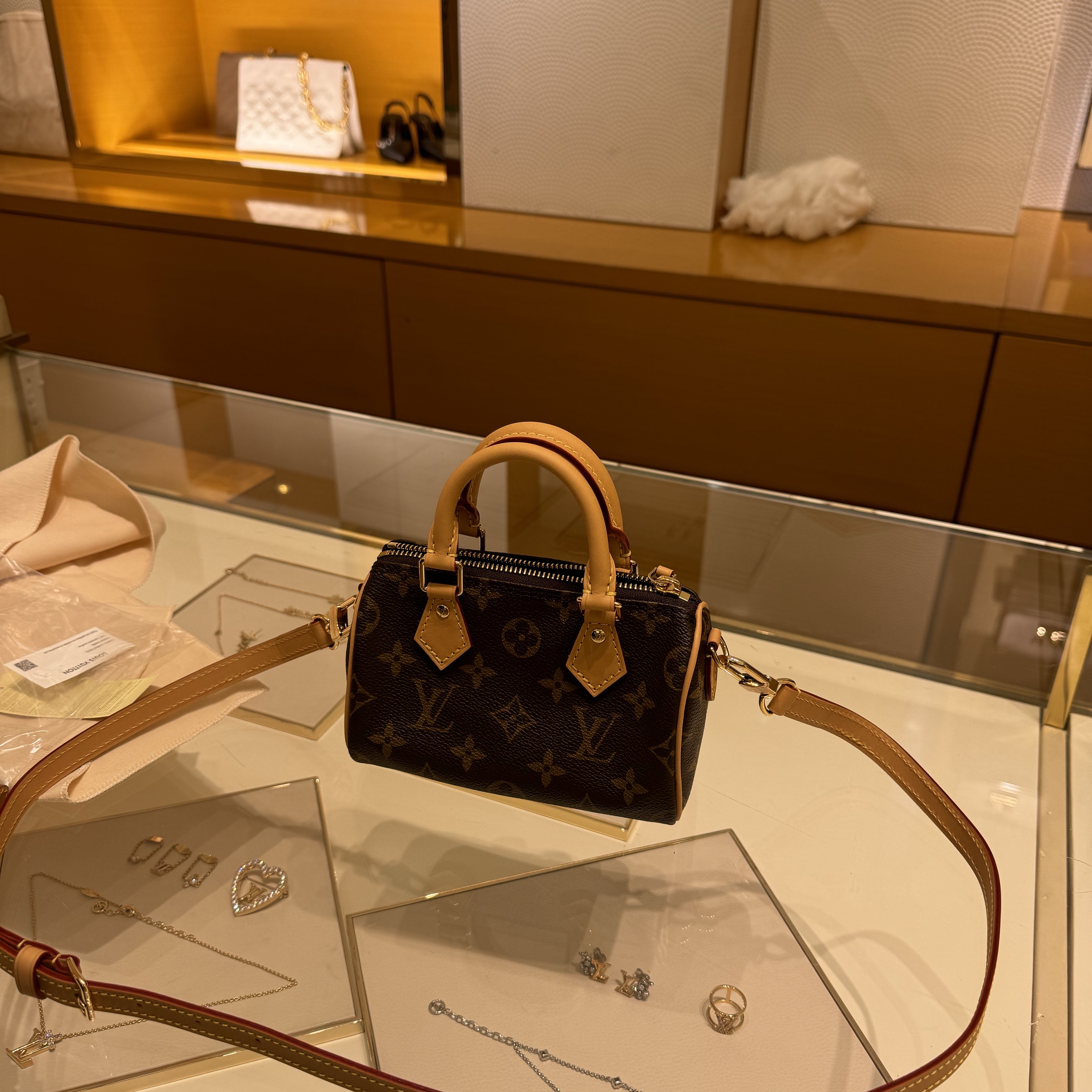 Louis Vuitton Nano Speedy Monogram 착용 스타일 - 1
