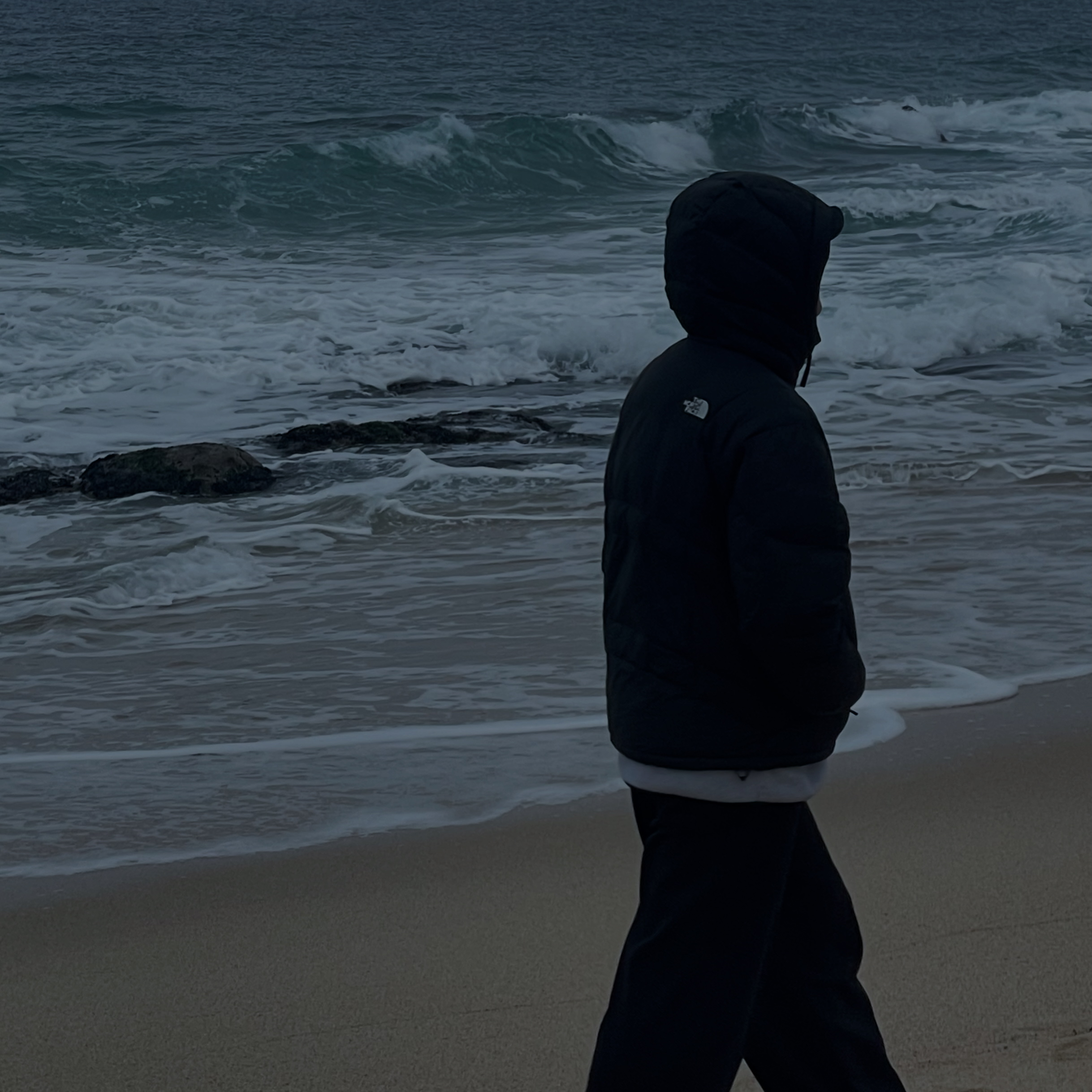 The North Face White Label Wave LT On Ball Jacket Black, Patagonia Lightweight Synchilla Snap-T Fleece Pullover Oatmeal Heather/Smolder Blue/New Navy 착용 스타일