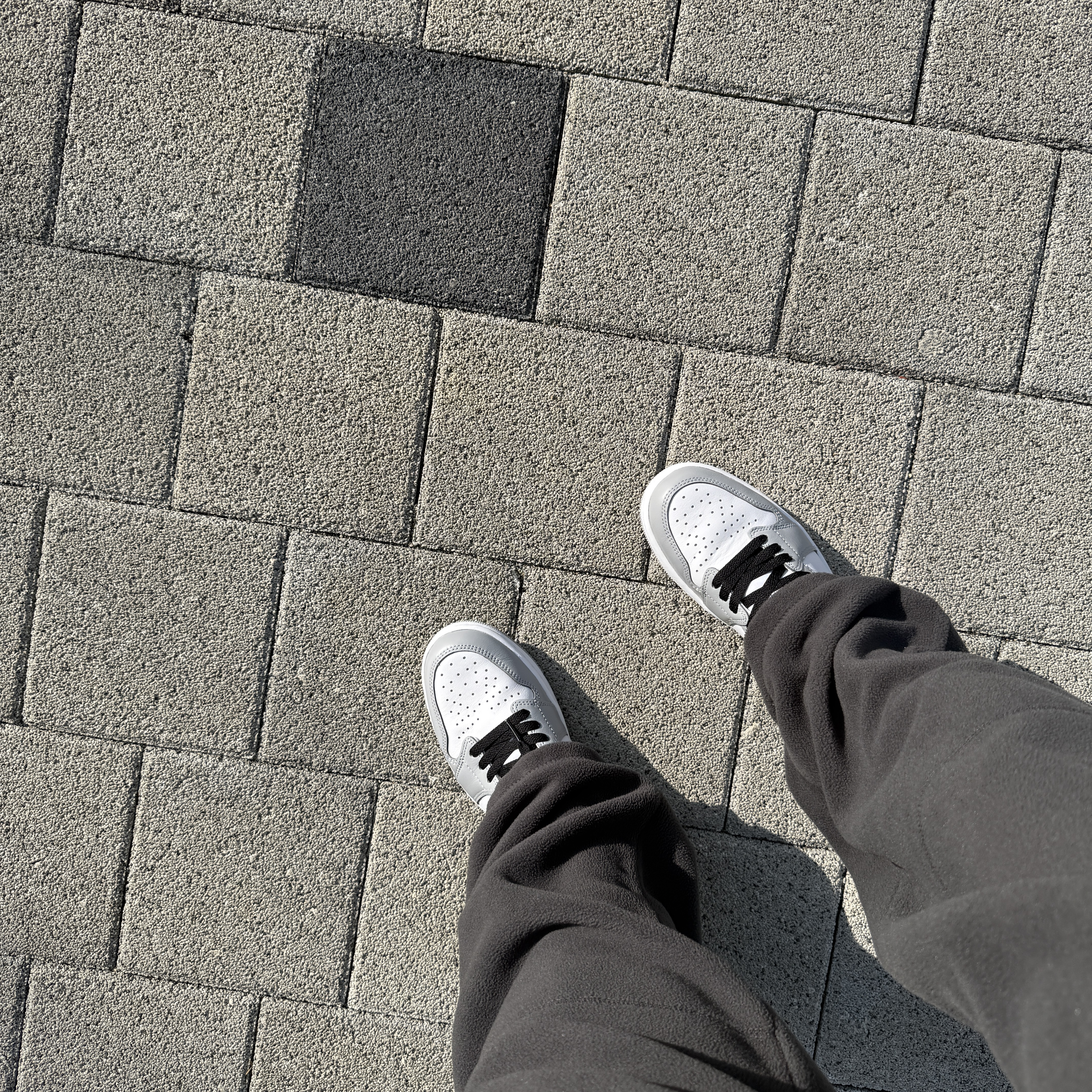 Jordan 1 Retro Low OG Wolf Grey and White 착용 스타일 - 2
