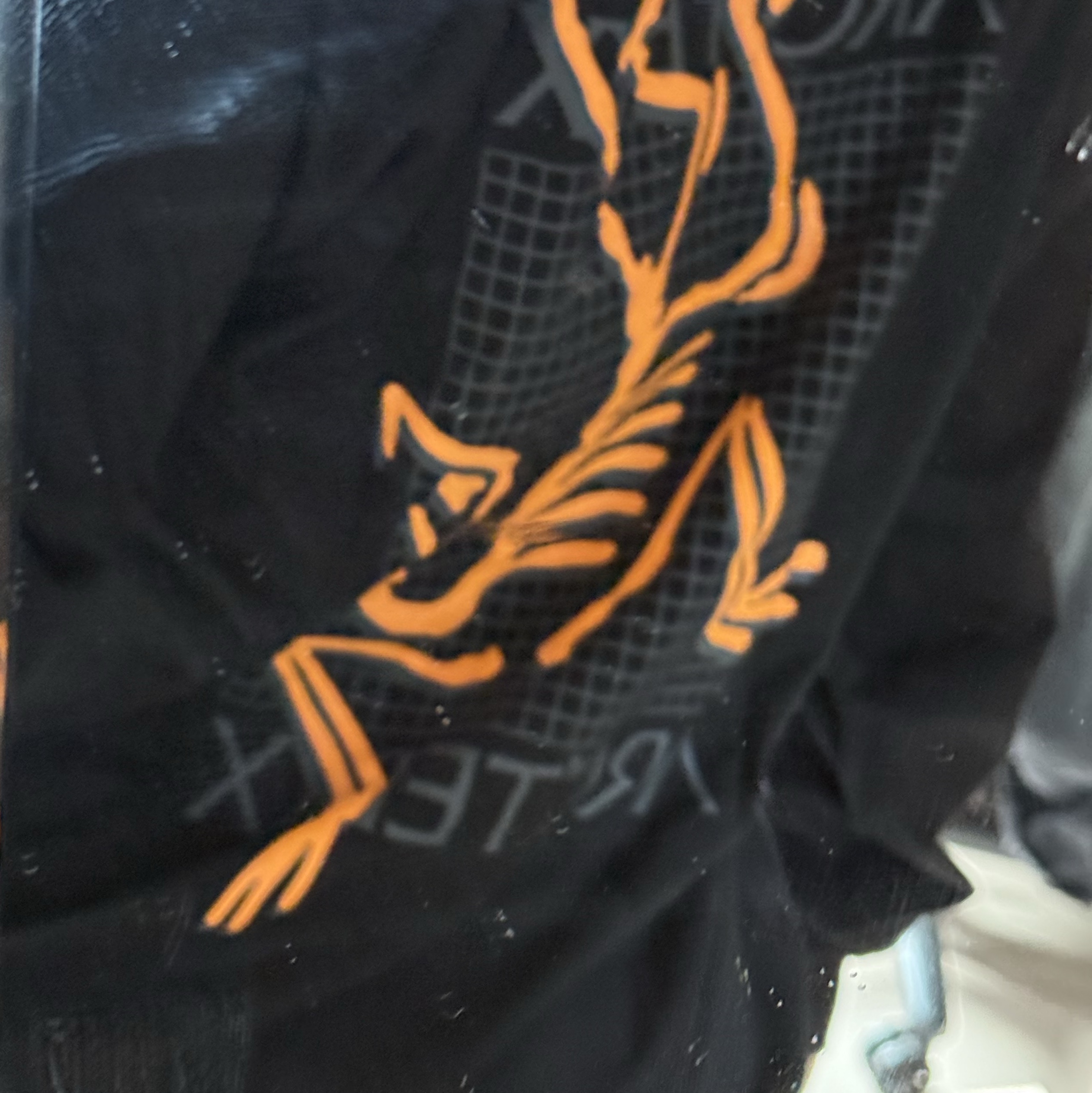 Arc'teryx Arc'Multi Bird Logo LS T-Shirt Black 착용 스타일