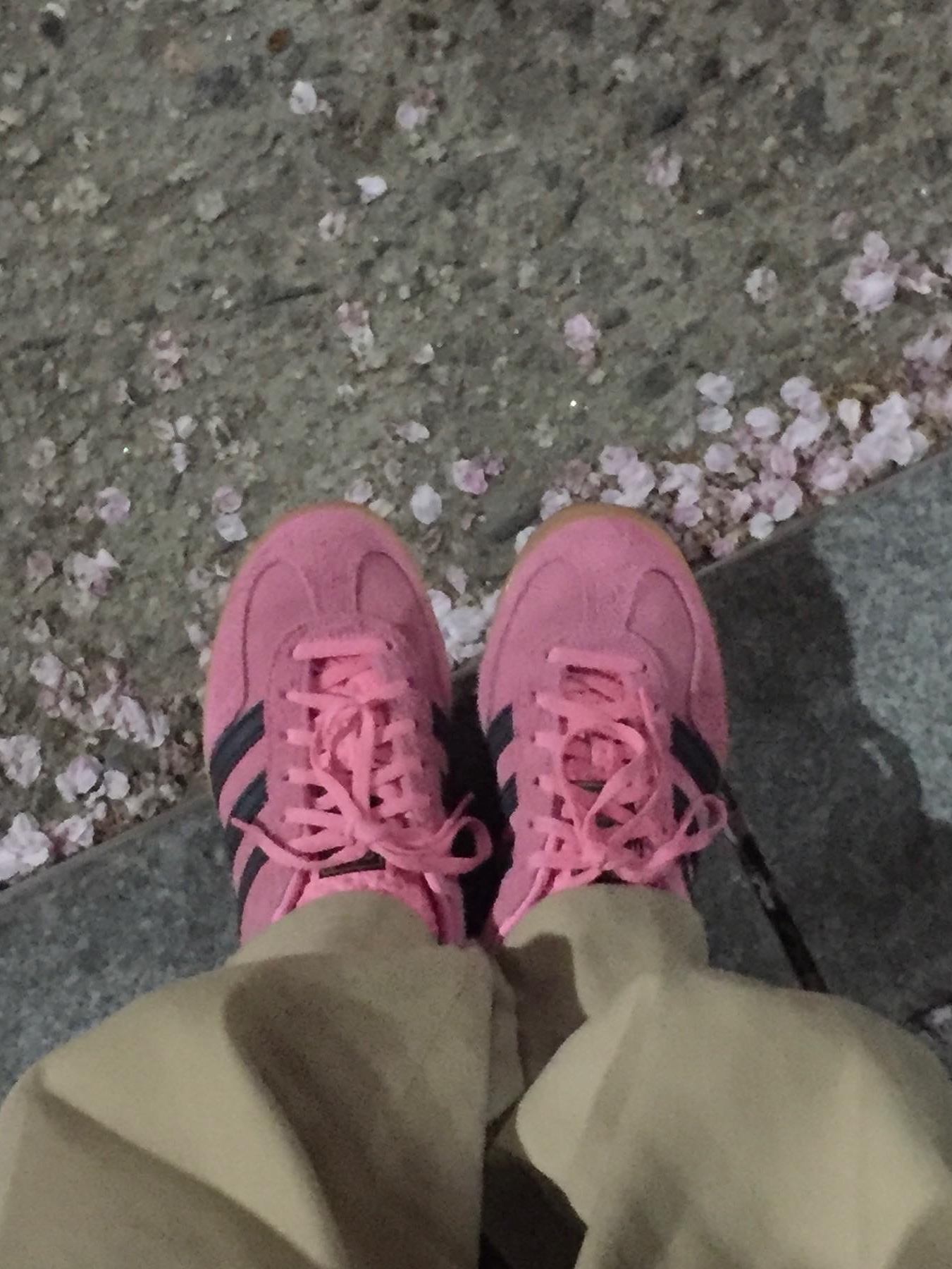 (W) Adidas Gazelle Indoor Bliss Pink 착용 스타일