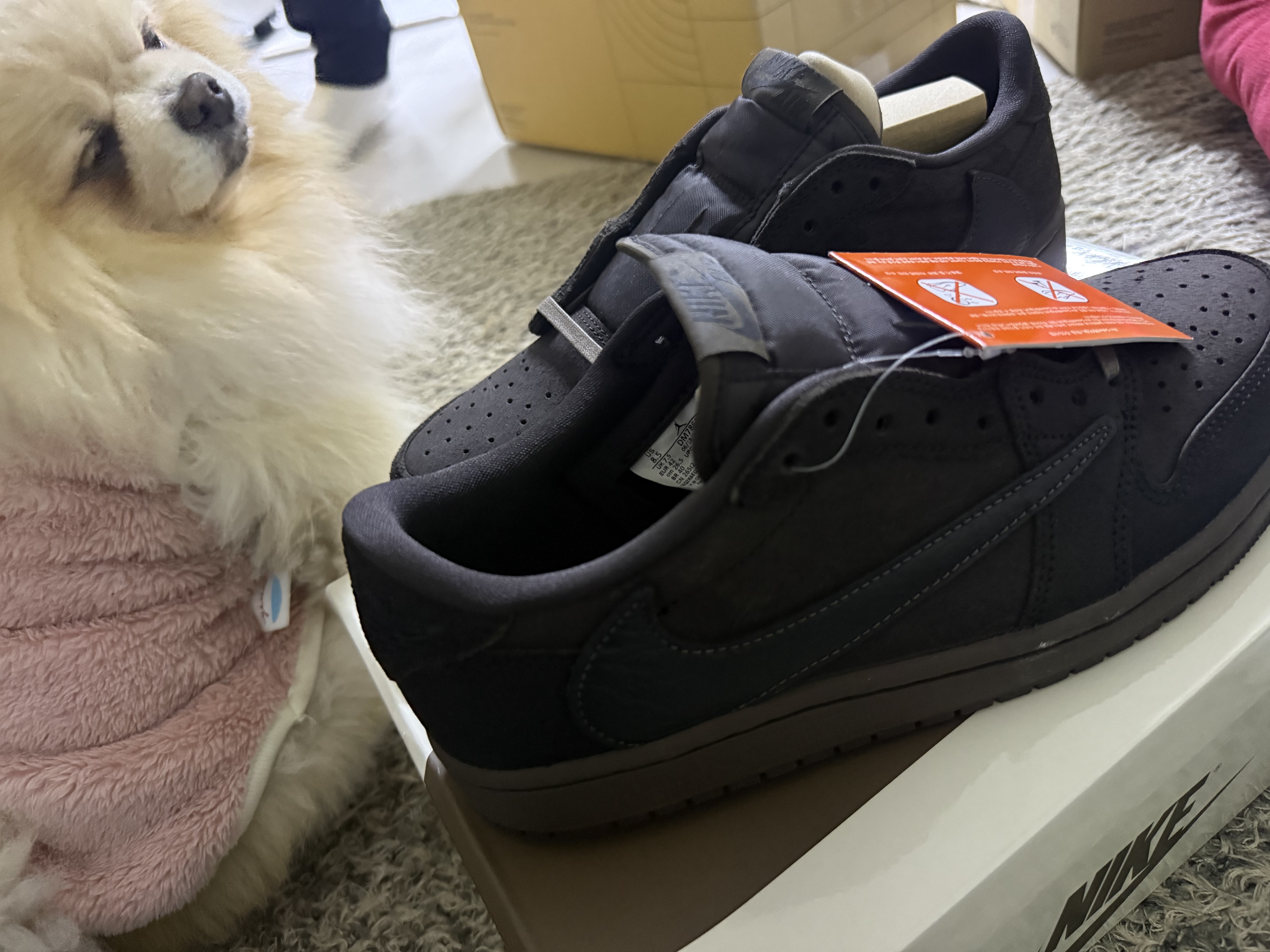 Jordan 1 x Travis Scott Retro Low OG SP Velvet Brown and Dark Mocha 착용 스타일