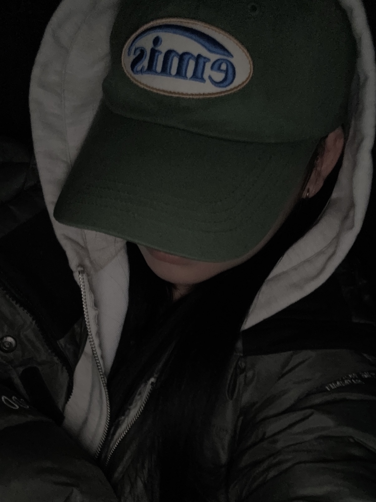 Emis Wappen Ball Cap Green 착용 스타일
